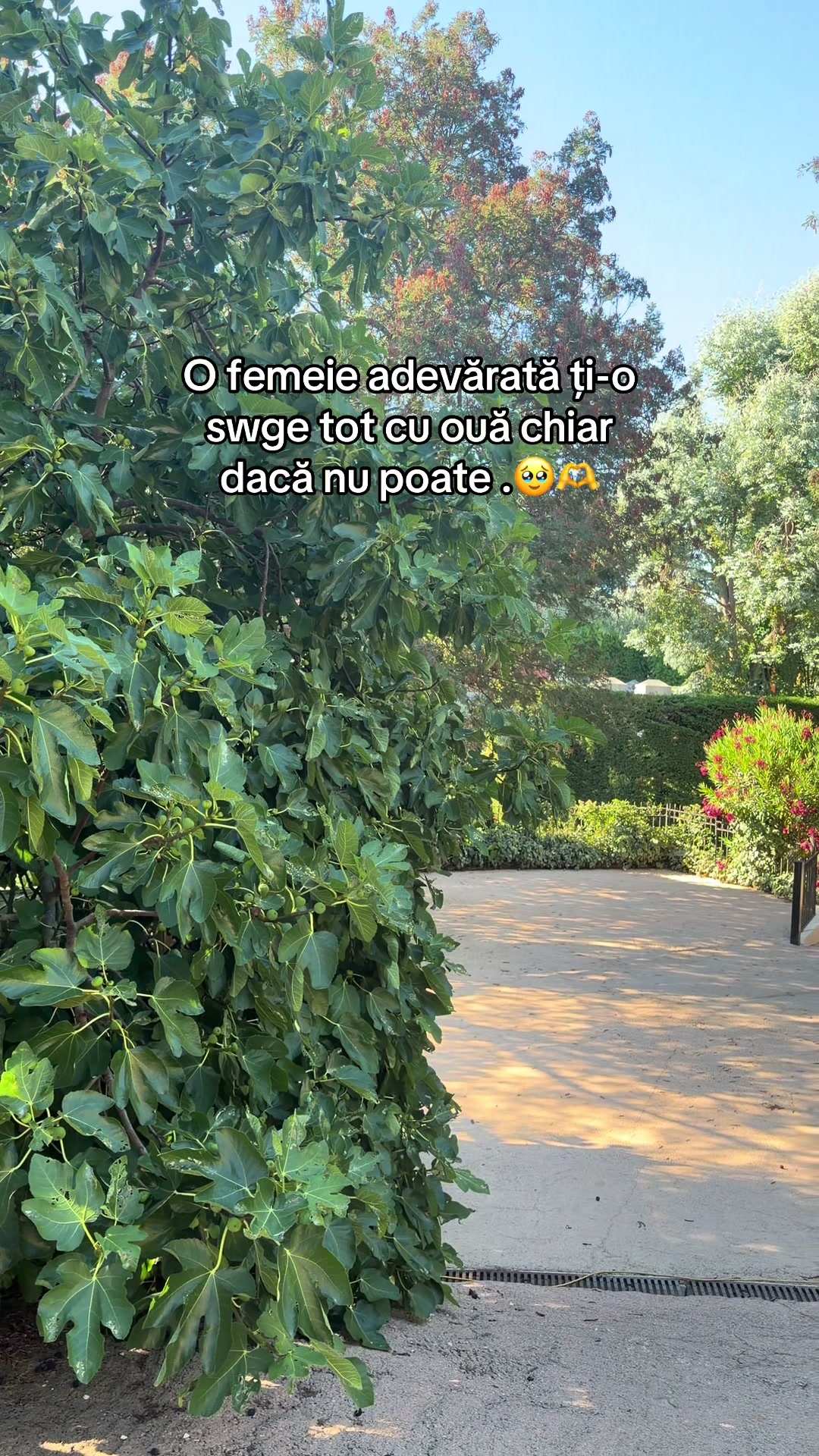 @Mădălin🖤