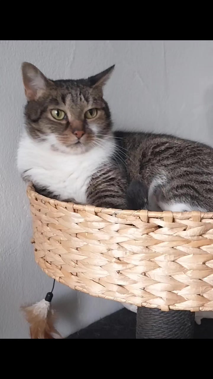 @Scotty🐱🐾🐱🐾 🐱🐾🐱🐾🐱🐾