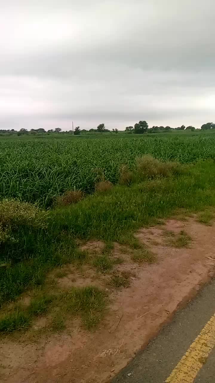 @wajid ali bop