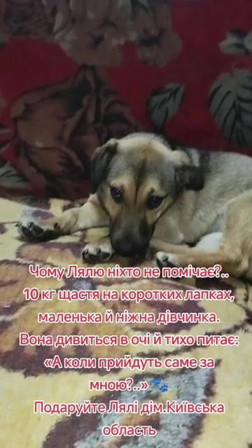 @viktoria)