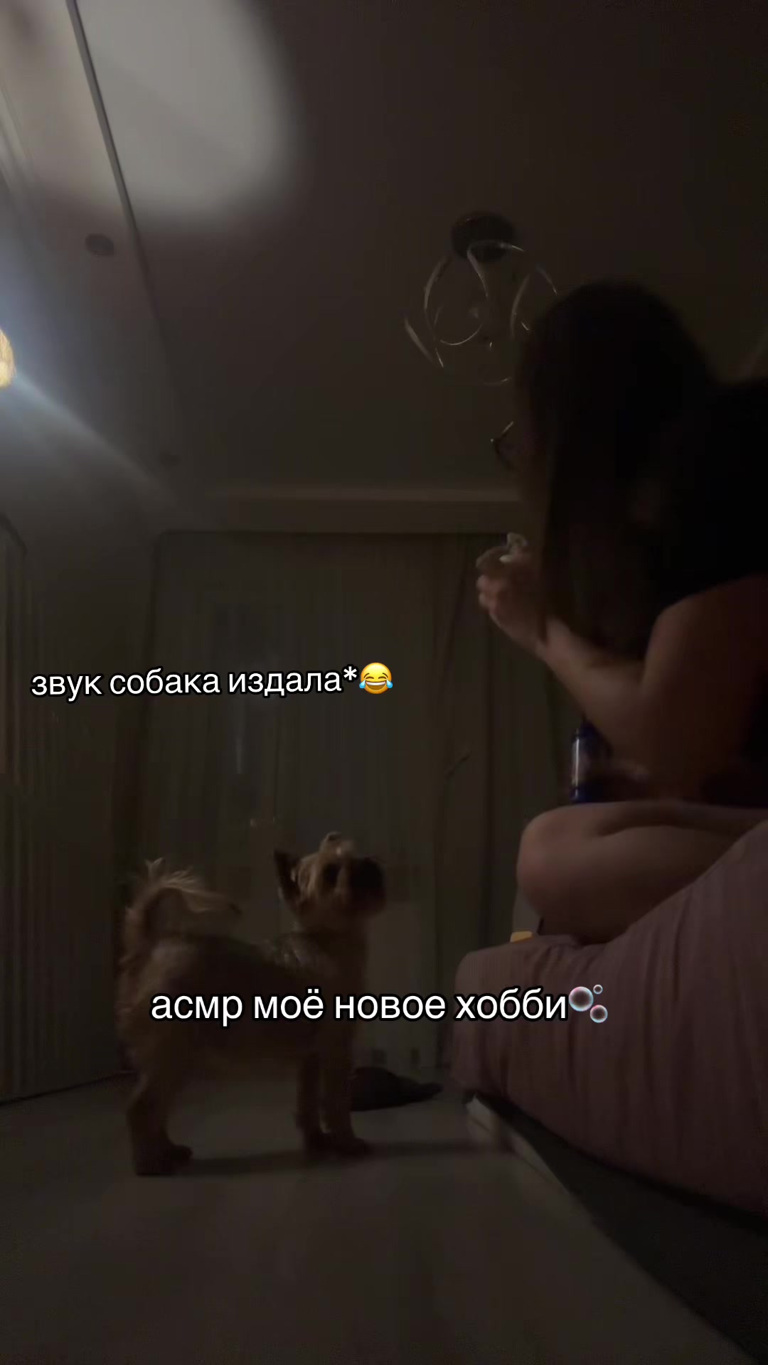 @hoffma.01asmr