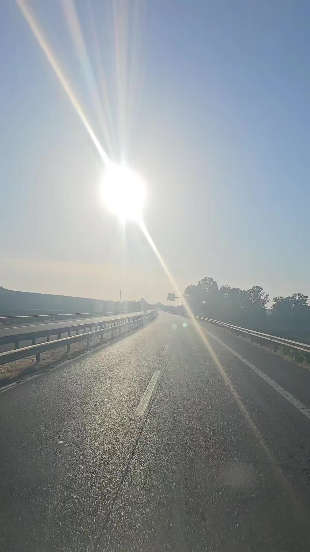 @Angelo Il Leone