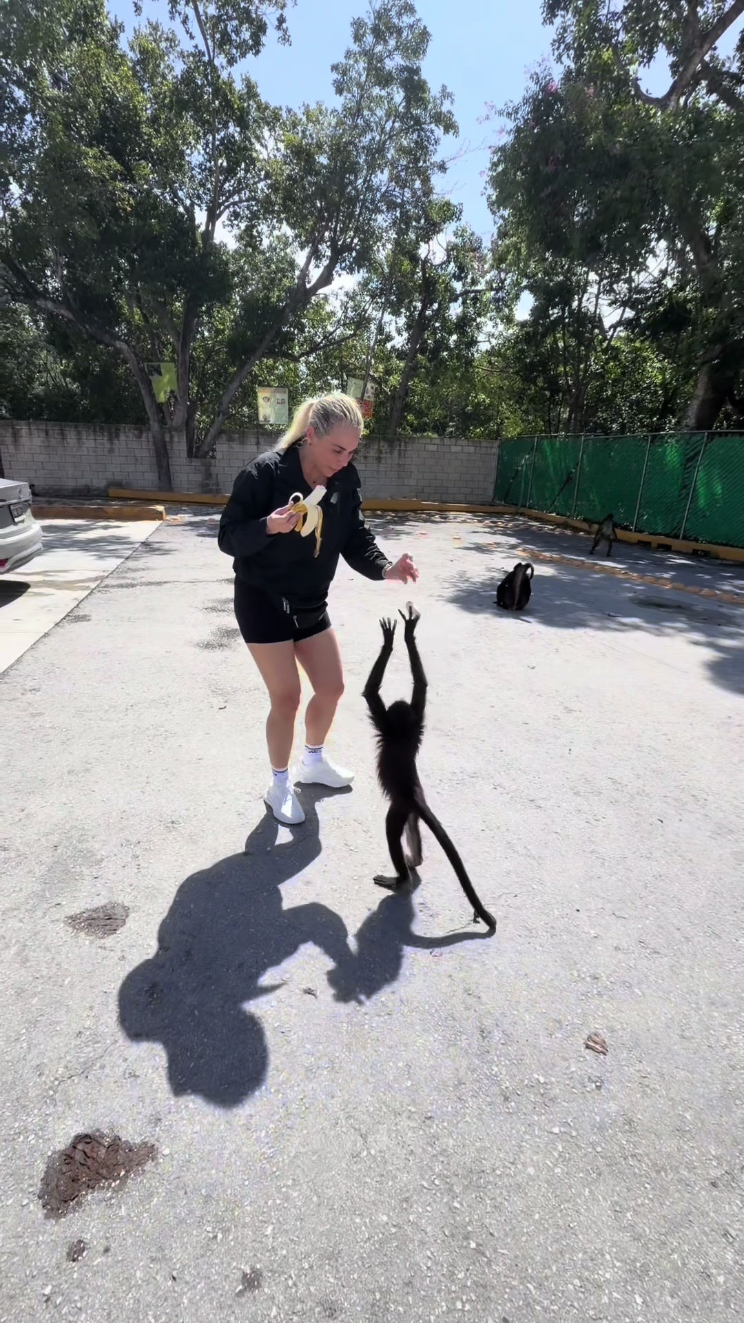 @MAYELIN MATTIG REALTOR® MIAMI