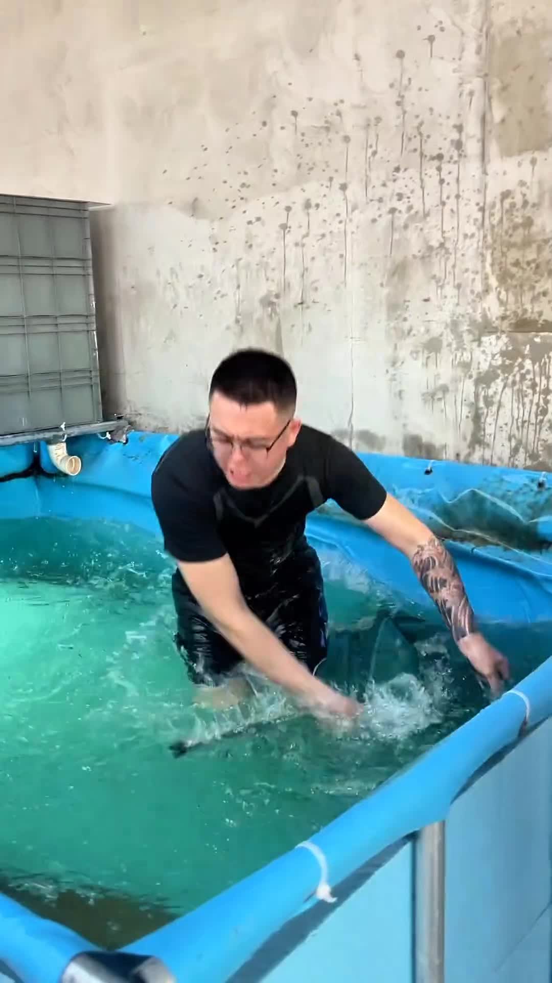 @Monsterfishkeeper