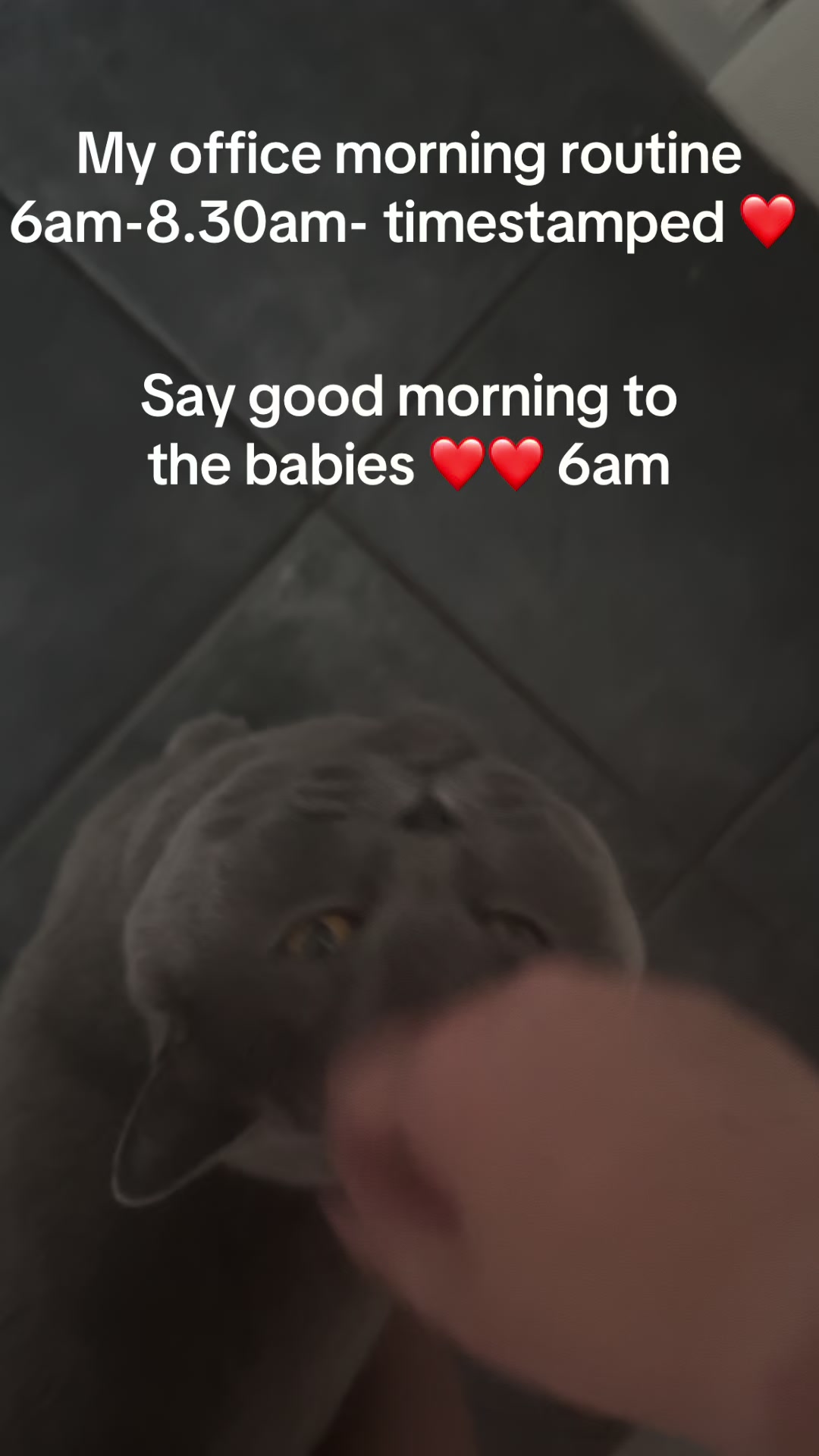 @amygirlyclub