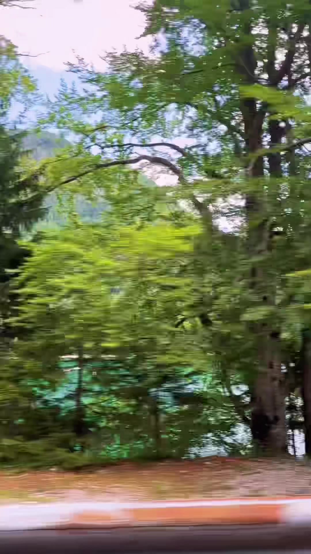 @_ariel277