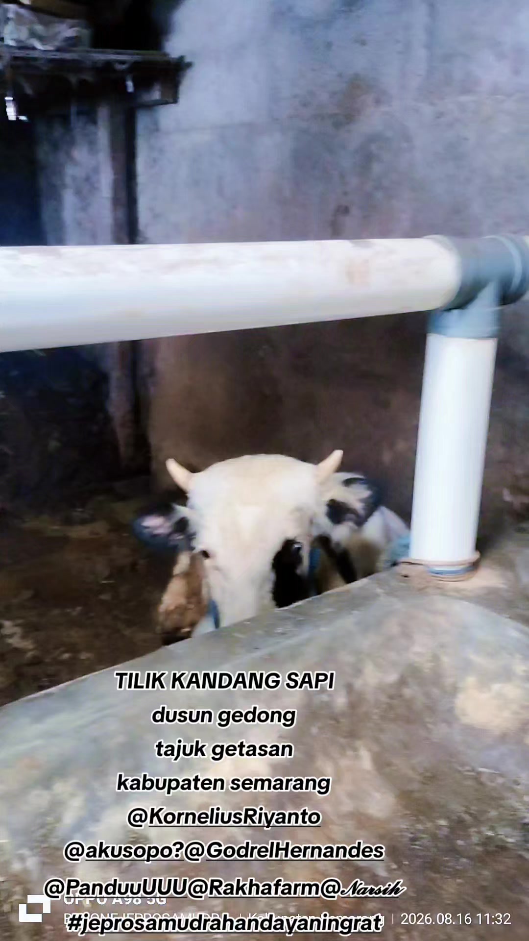 @JEPRO SAMUDRA