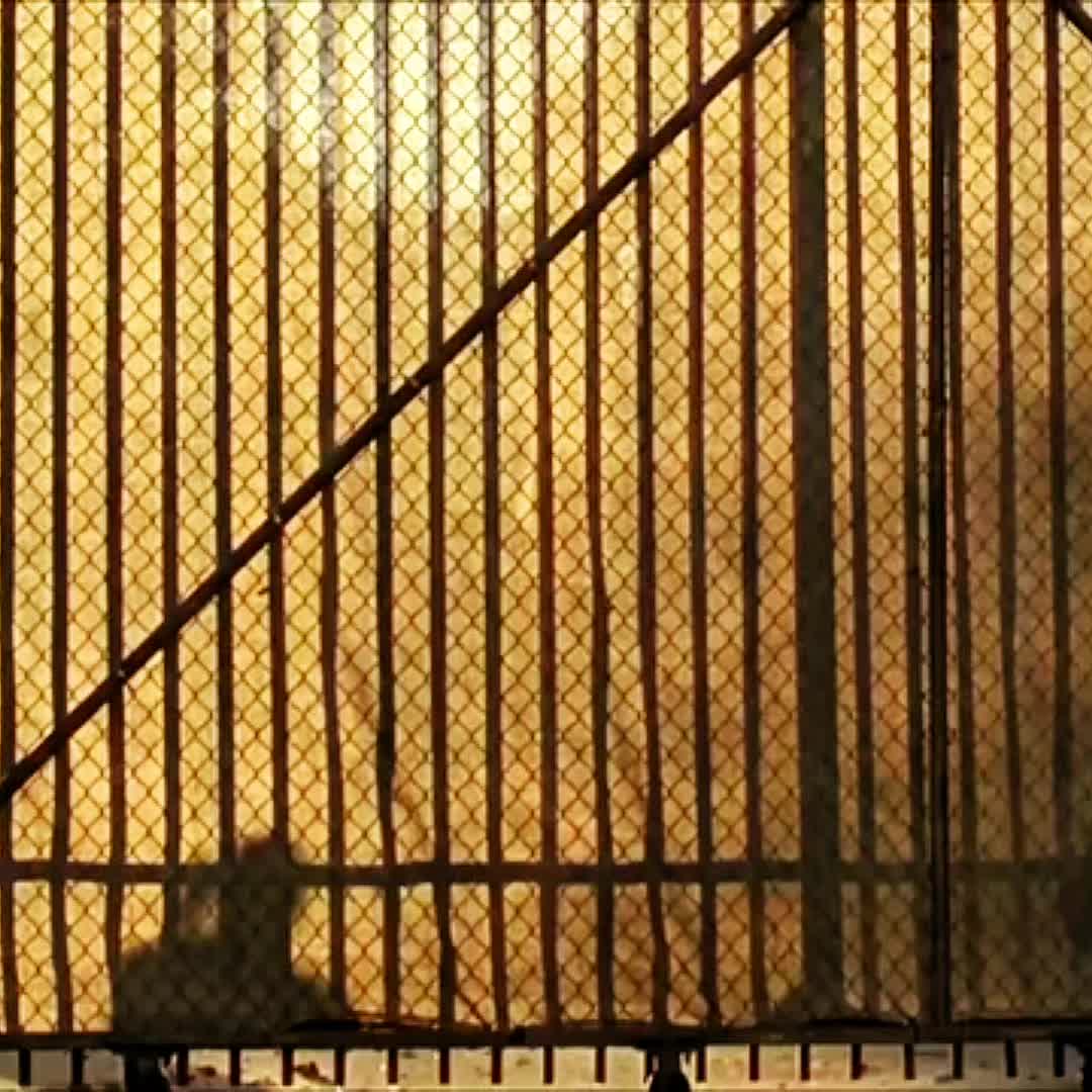 @🐉SPENZ.VFX2.0🐉{BKG}