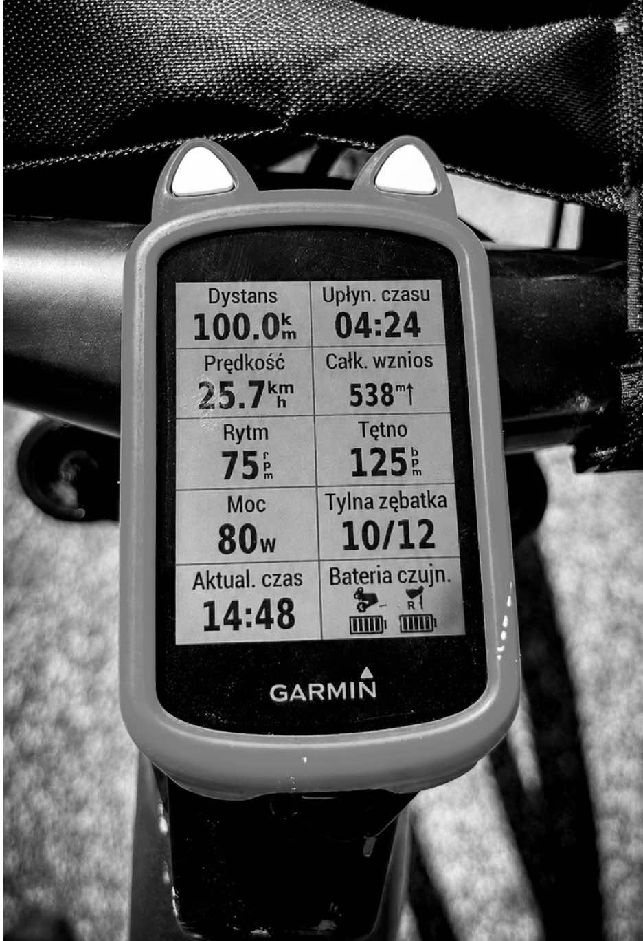 @Agnieszka Ignaszak bikejoring