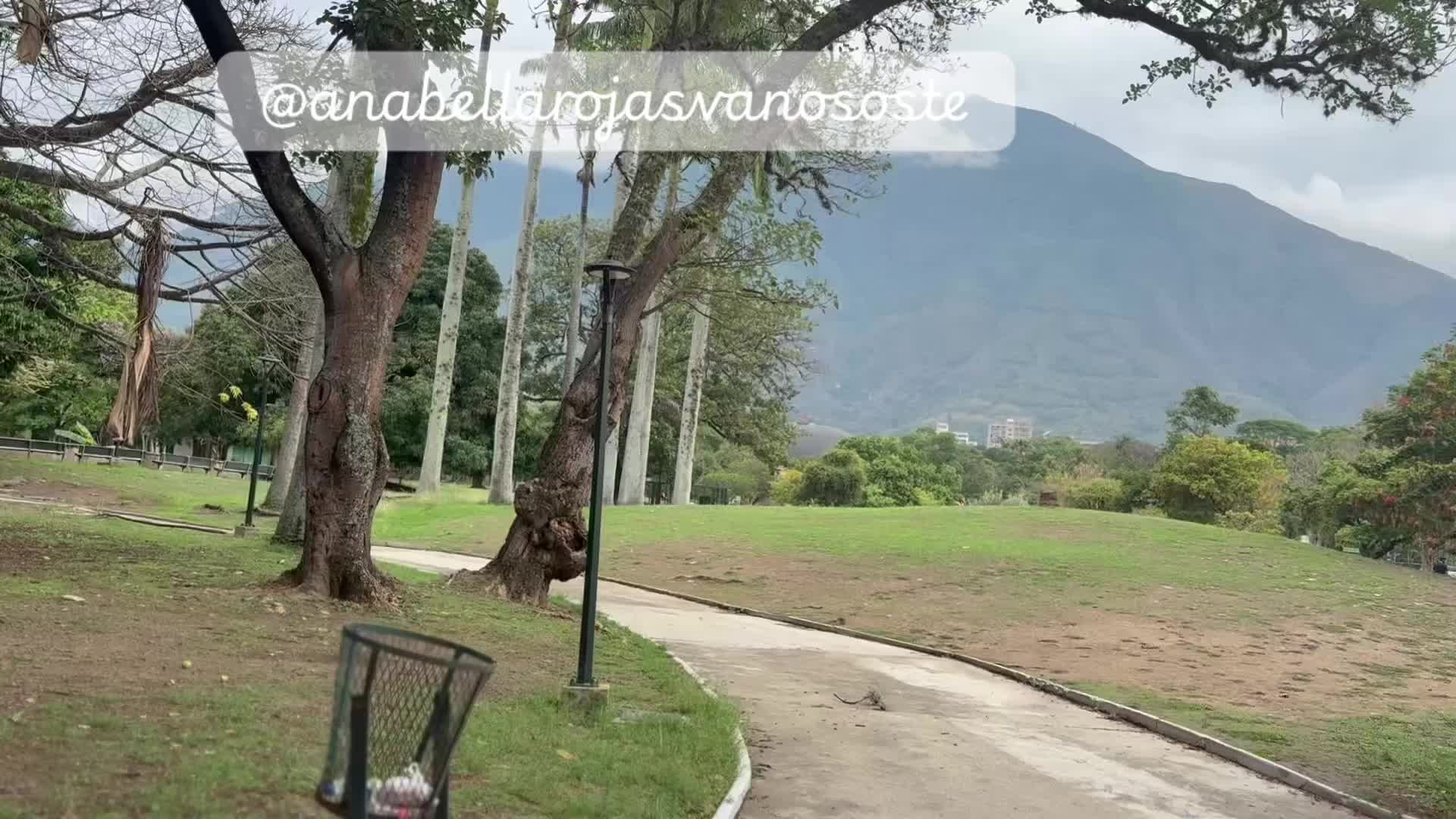 @Anabella Rojas Vanososte
