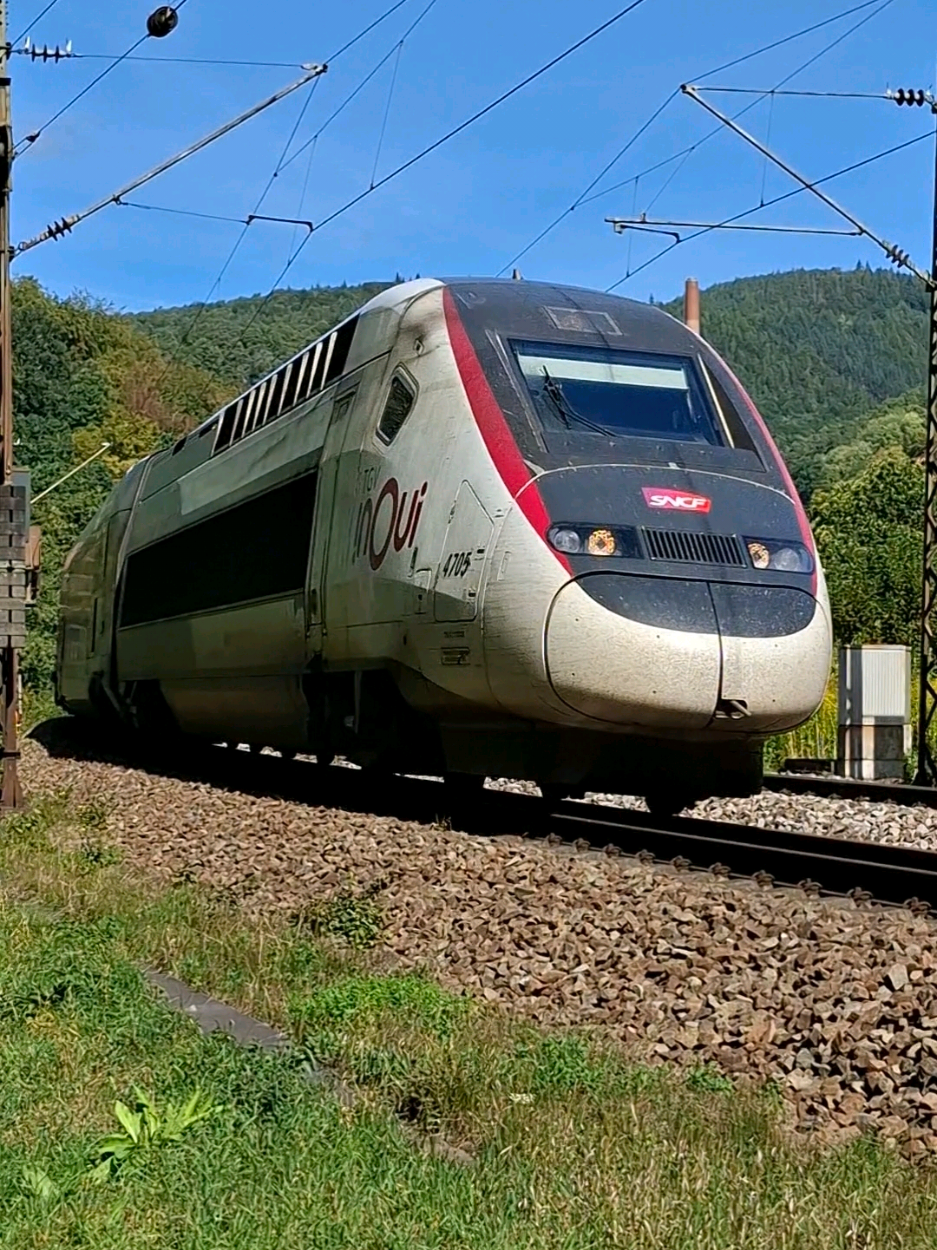 @🚂TS_Femboy_Chase💜