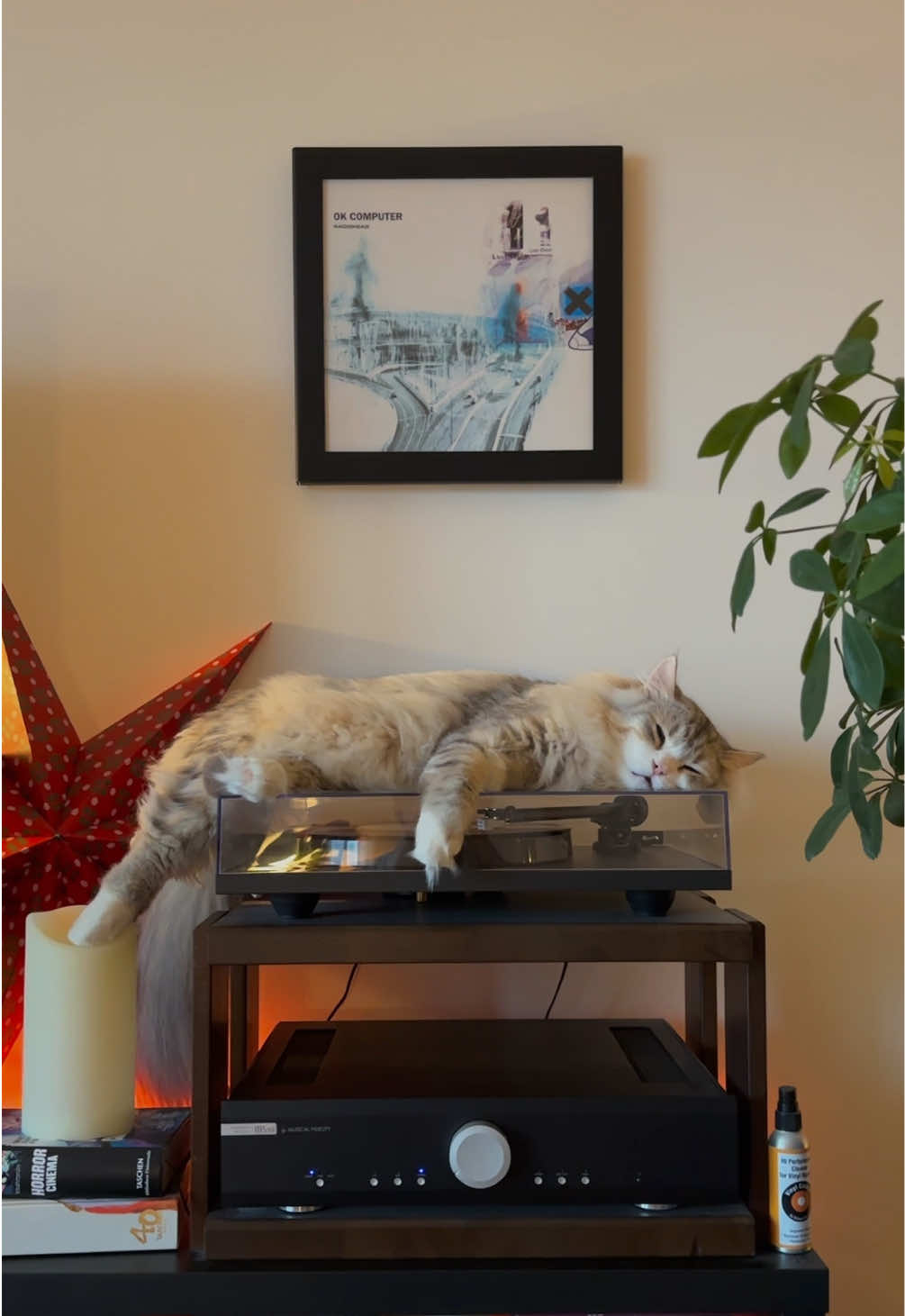 @Leon The Vinyl Cat