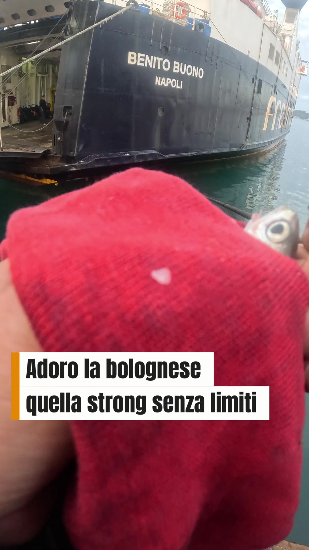 @Luca Meola