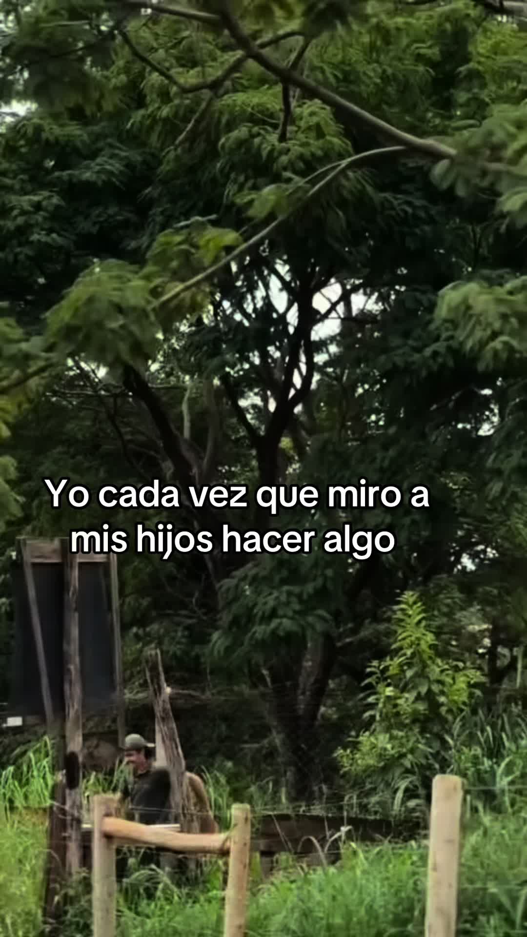 @Miryam Vargas ๐ช๐๐
๐ช๐จ