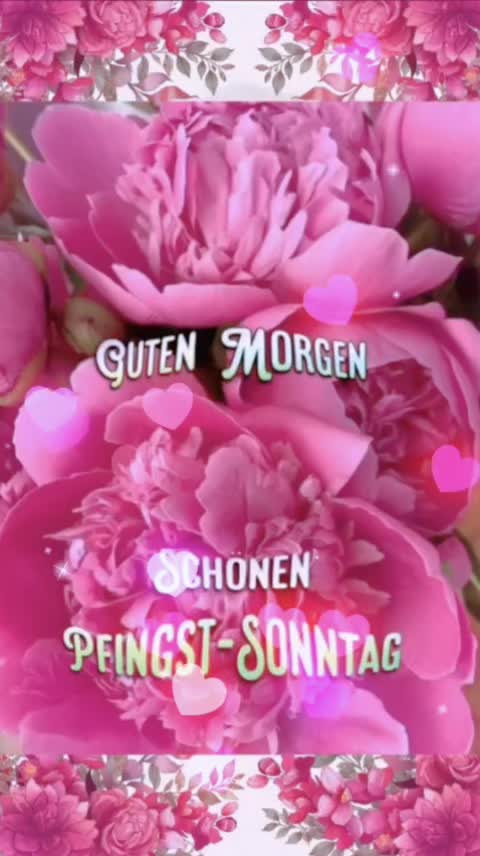 @🌷🌷P.❤️ J.🌷🌷