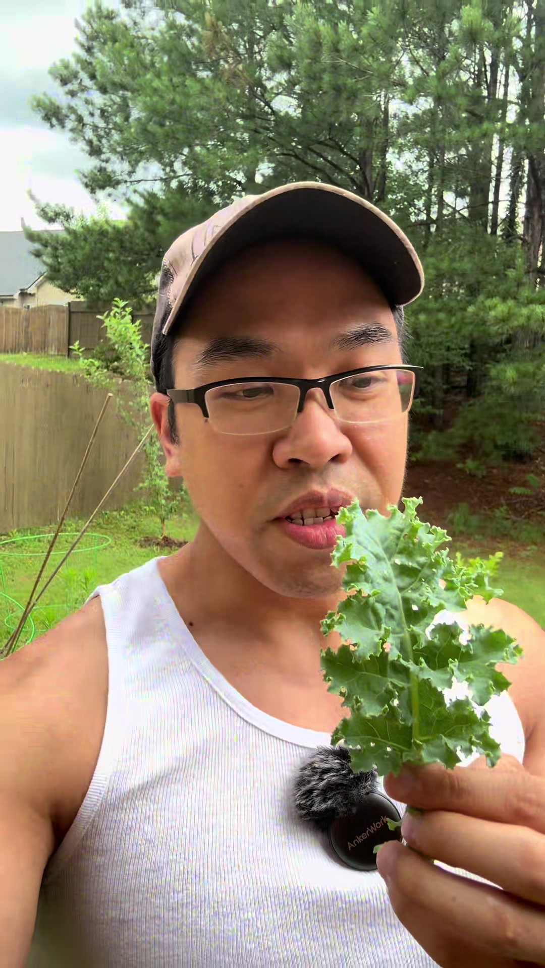 @Buff Gardener