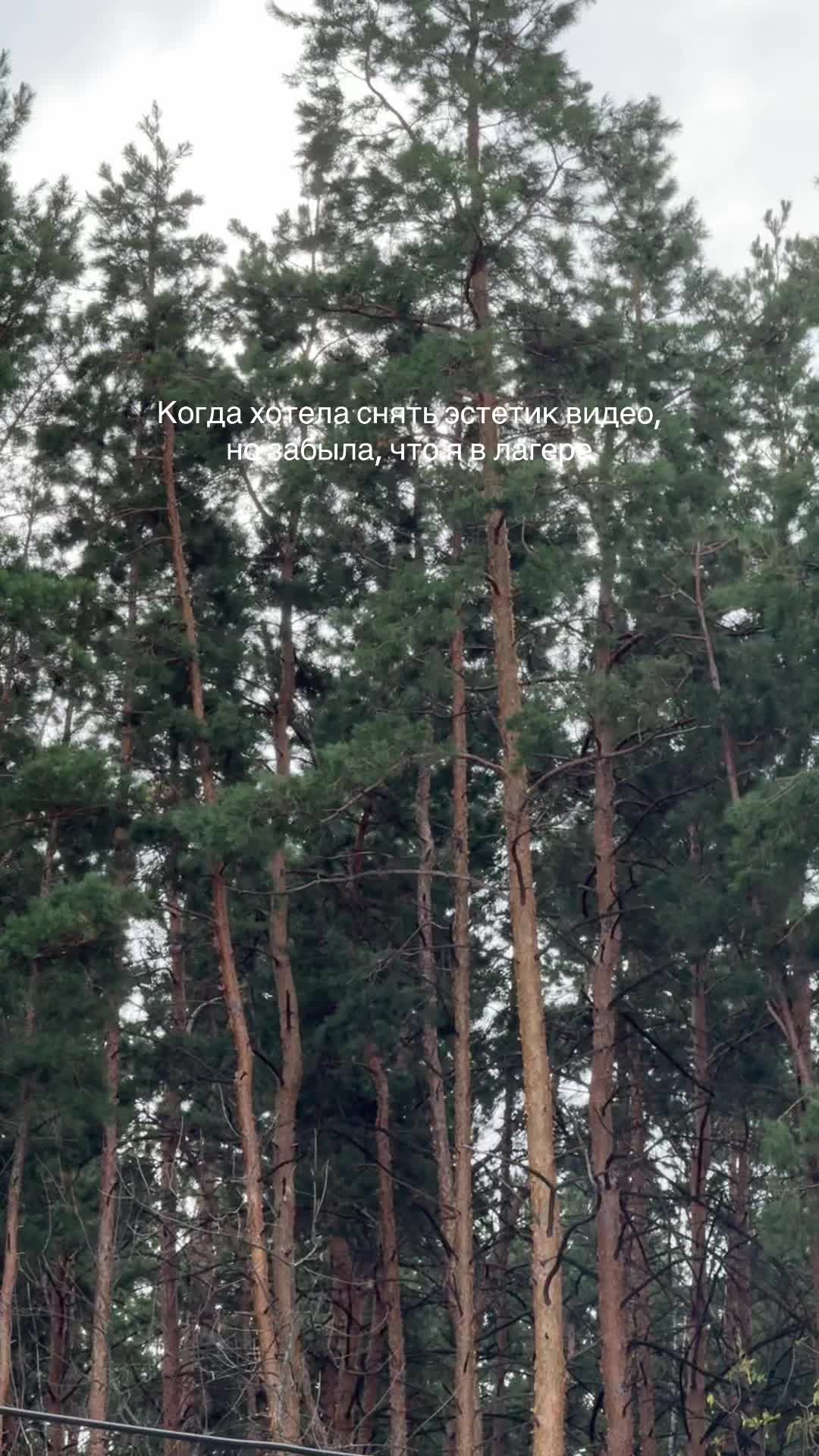 @Даяна