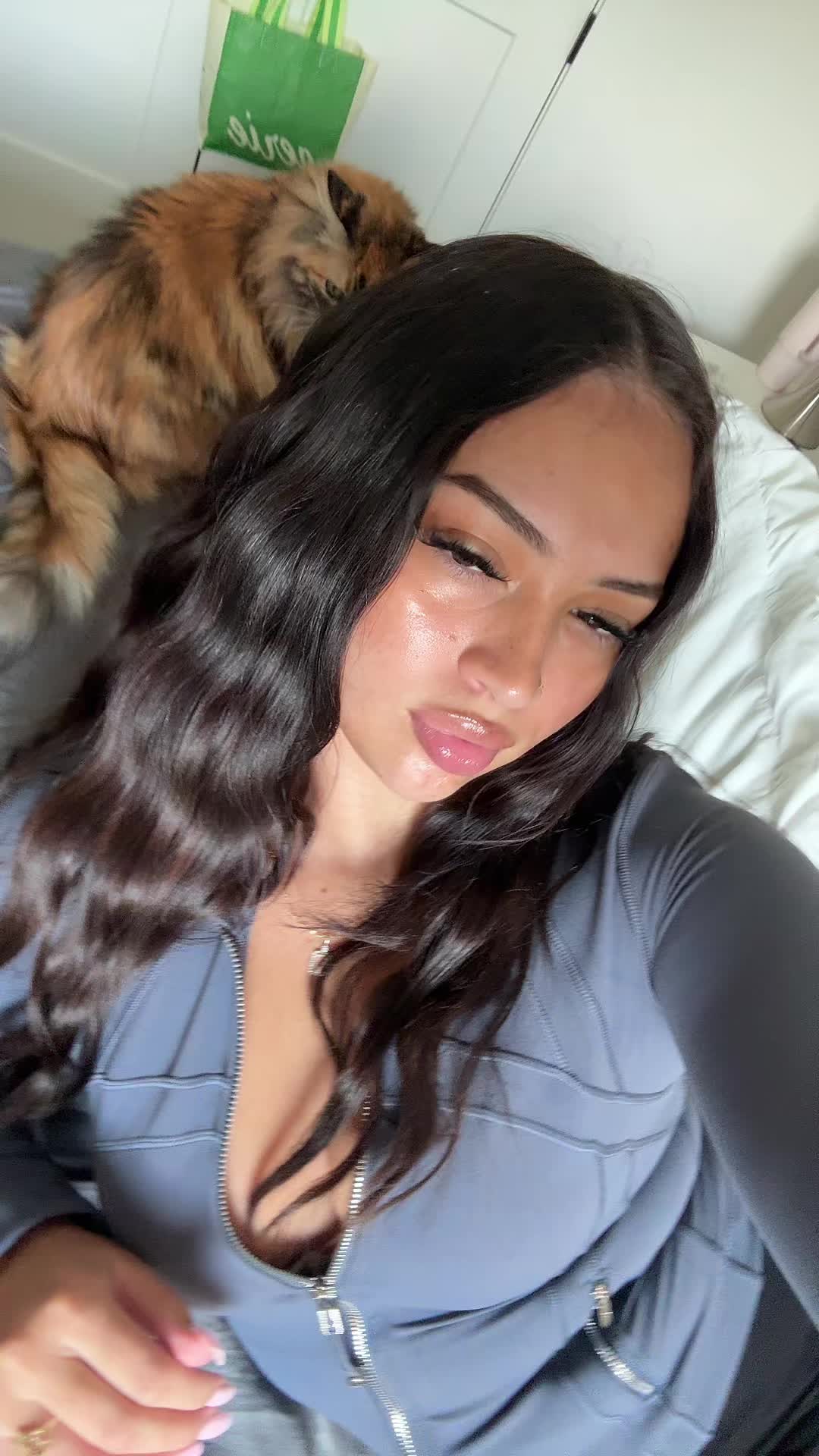 @ms.perfect