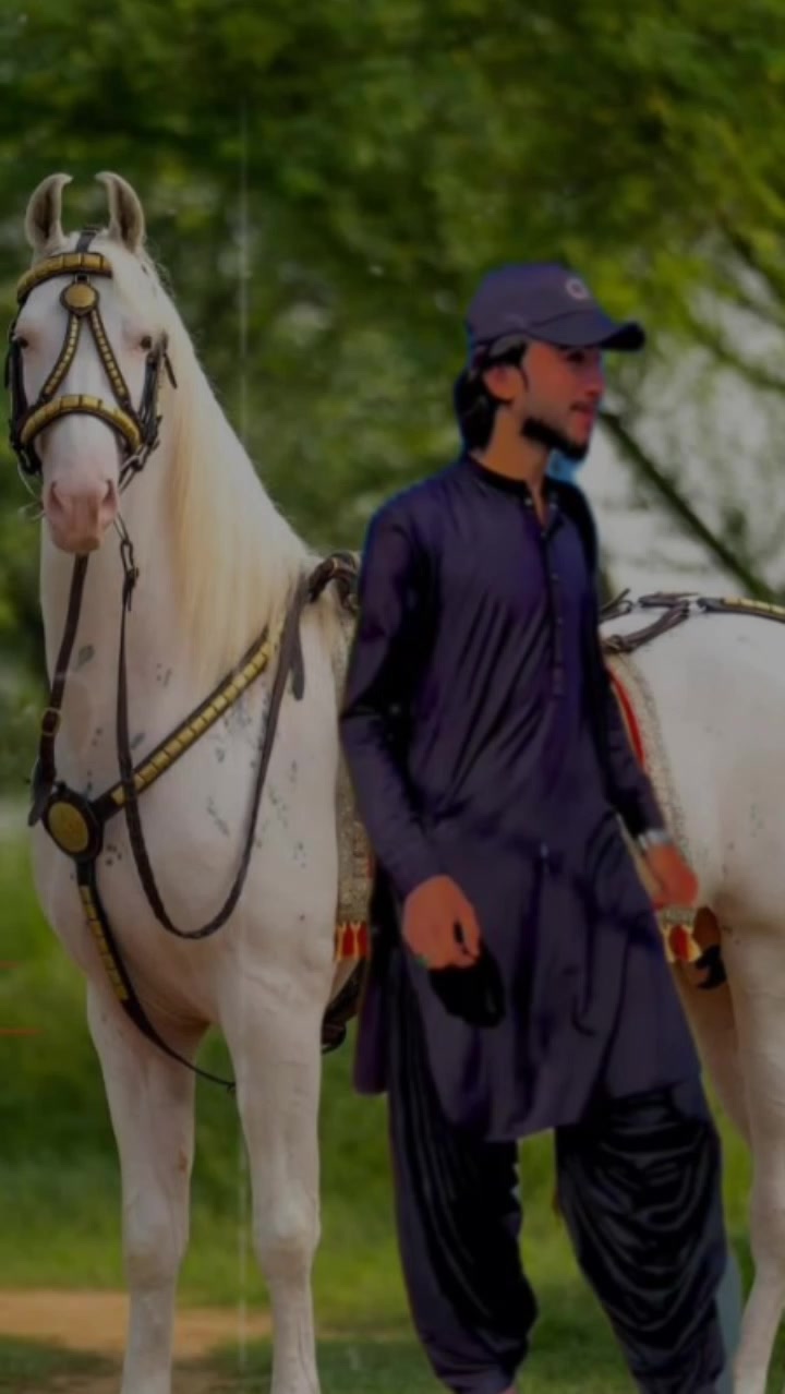 @Bashir king 1284
