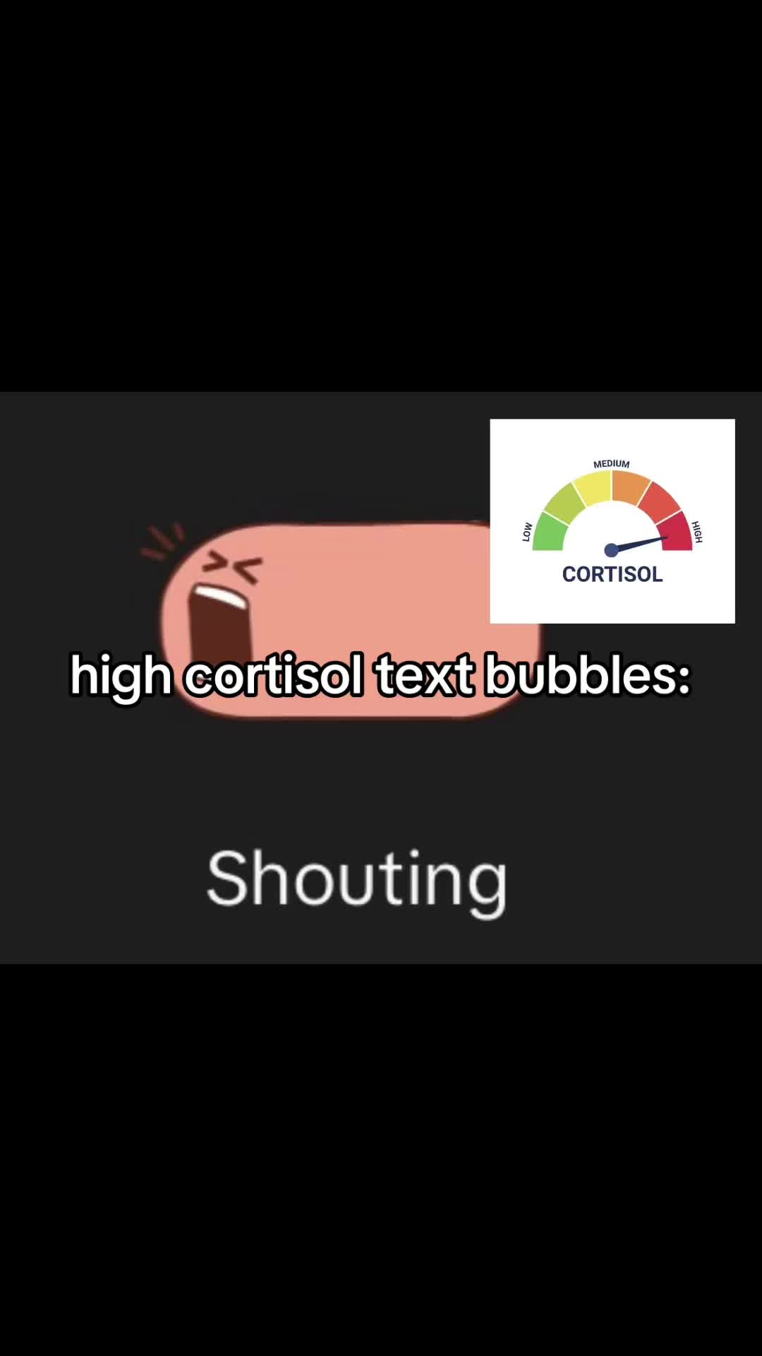 @🫔🚲