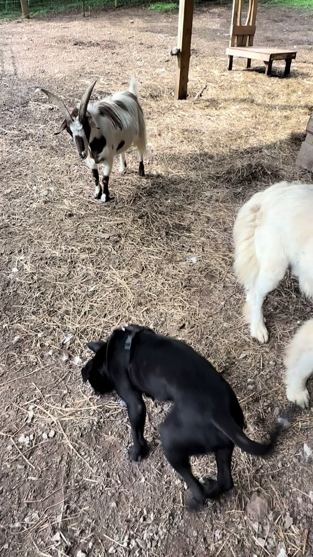 @Sober farmer & nature lover