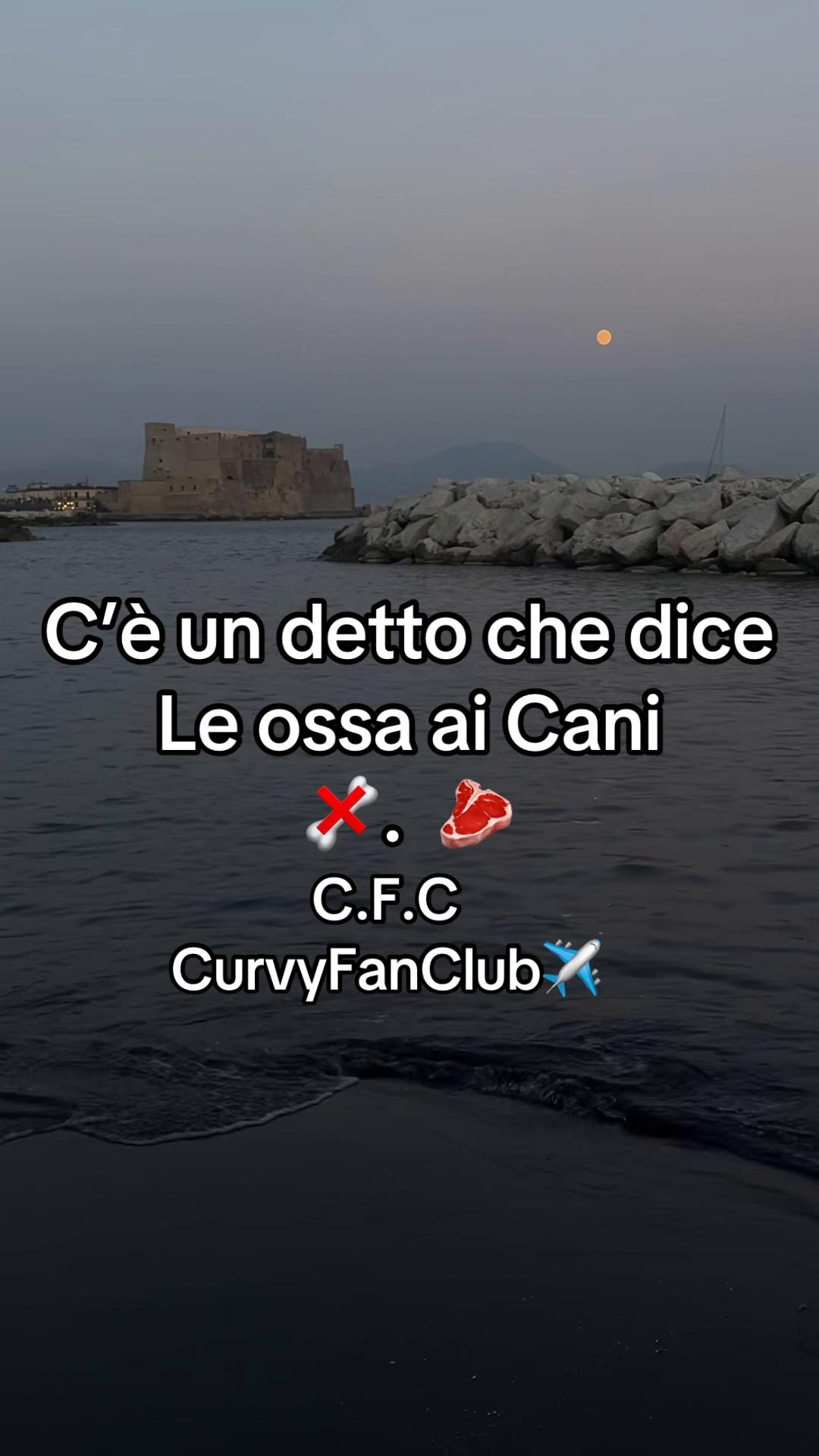@CurvyFanClub✈️
