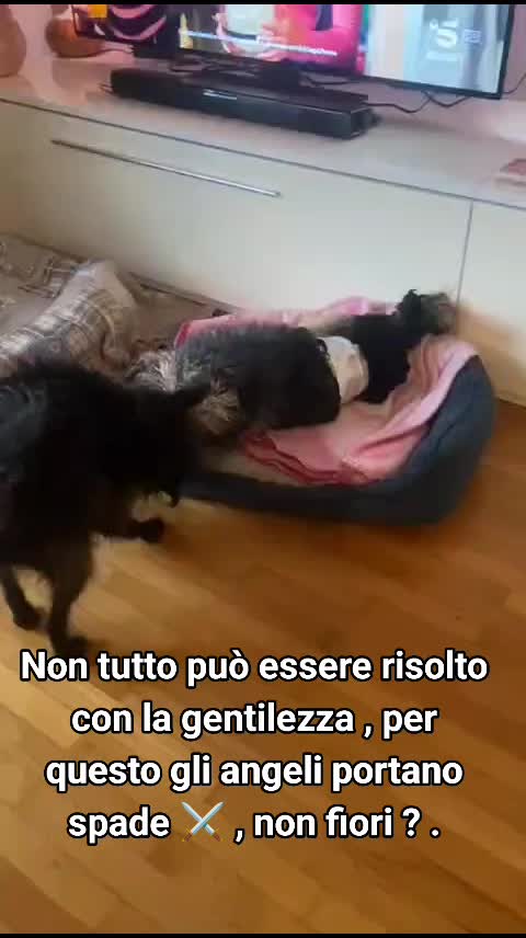 @ELETTRA L'ANIMALISTA