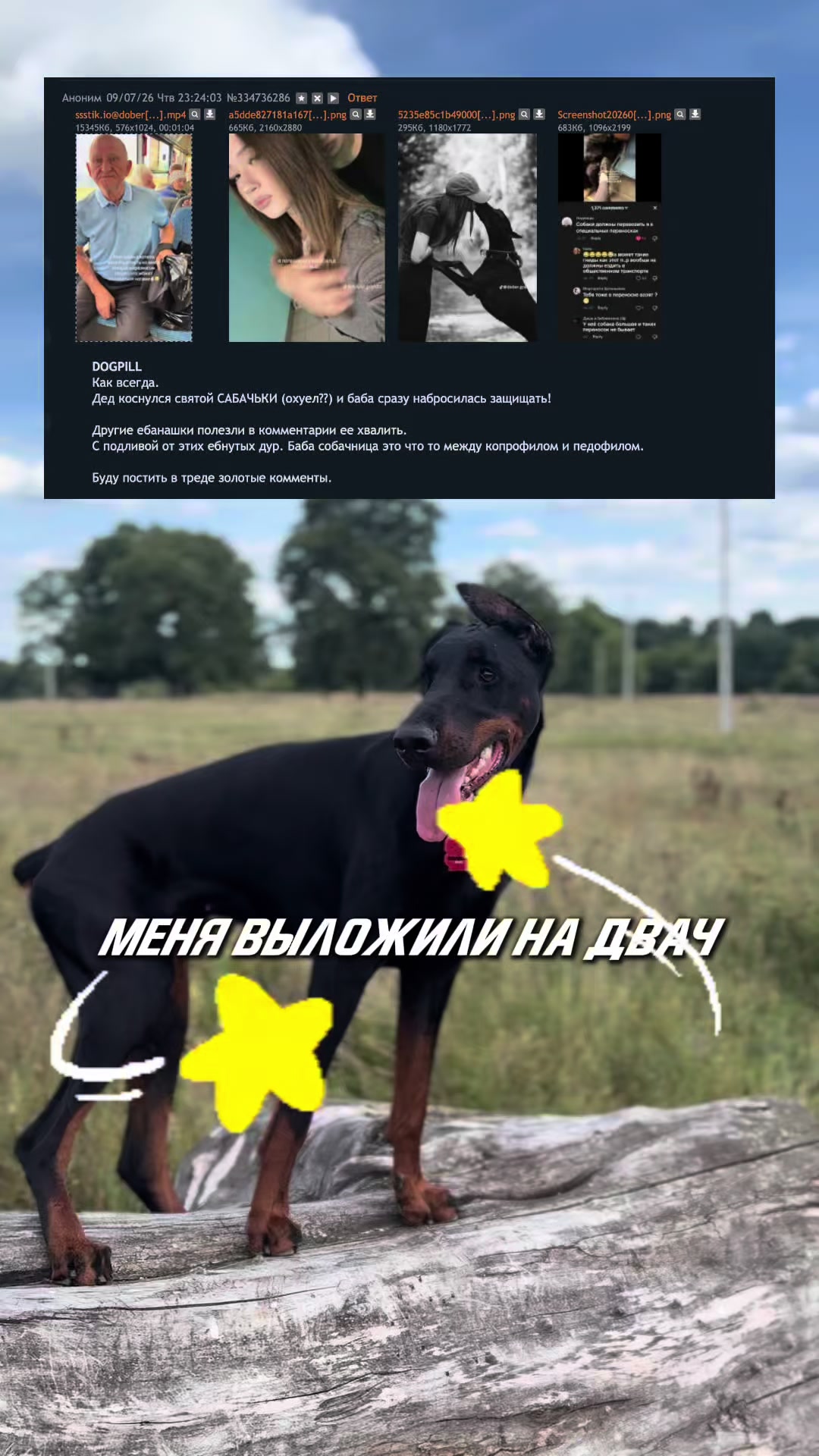 @‼️тг: grandorf‼️