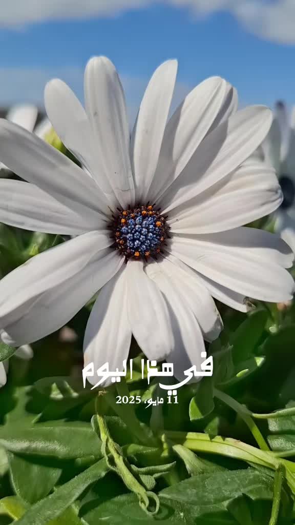 @💐