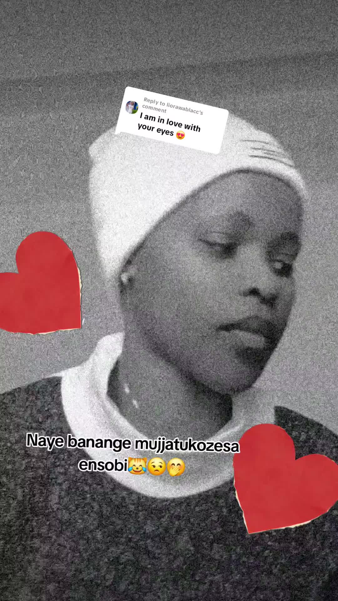 @shaanlee