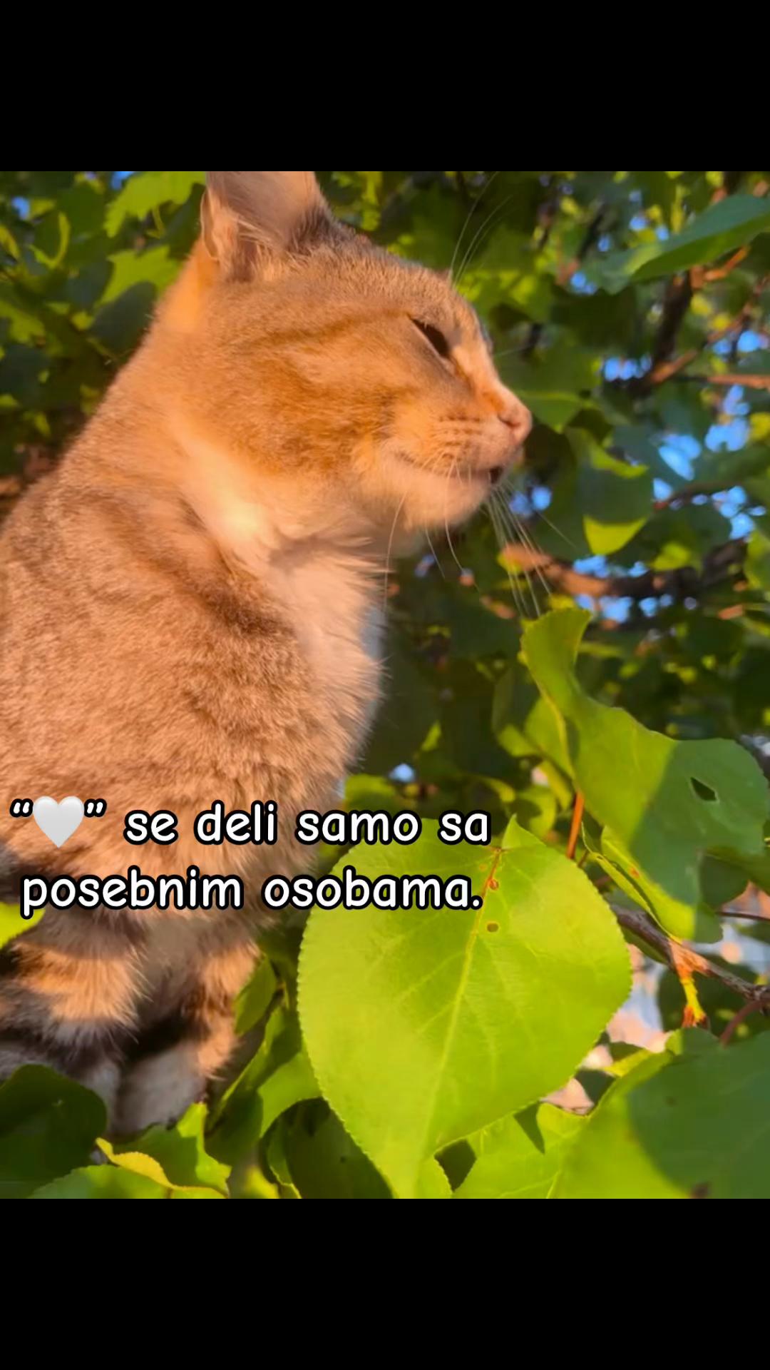 @ 