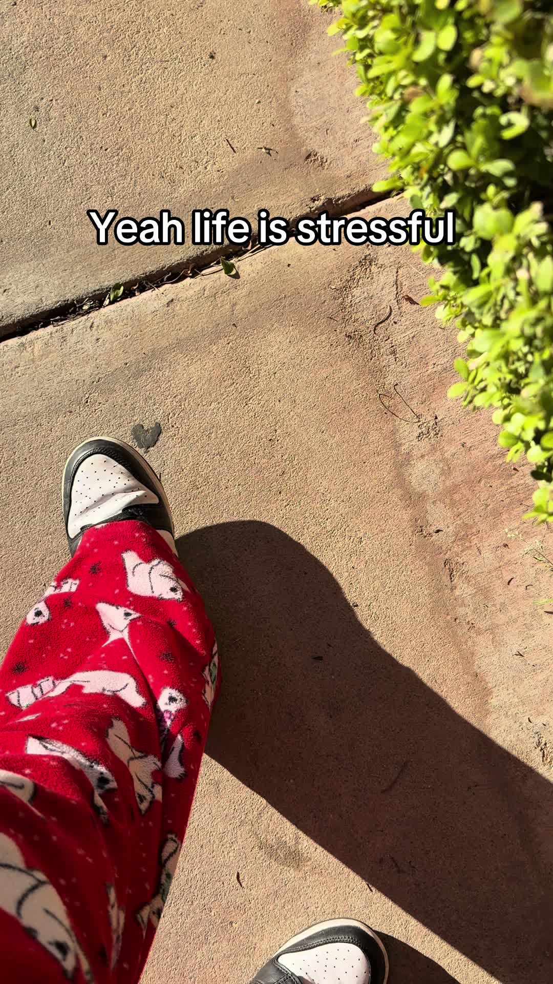 @keeezerss