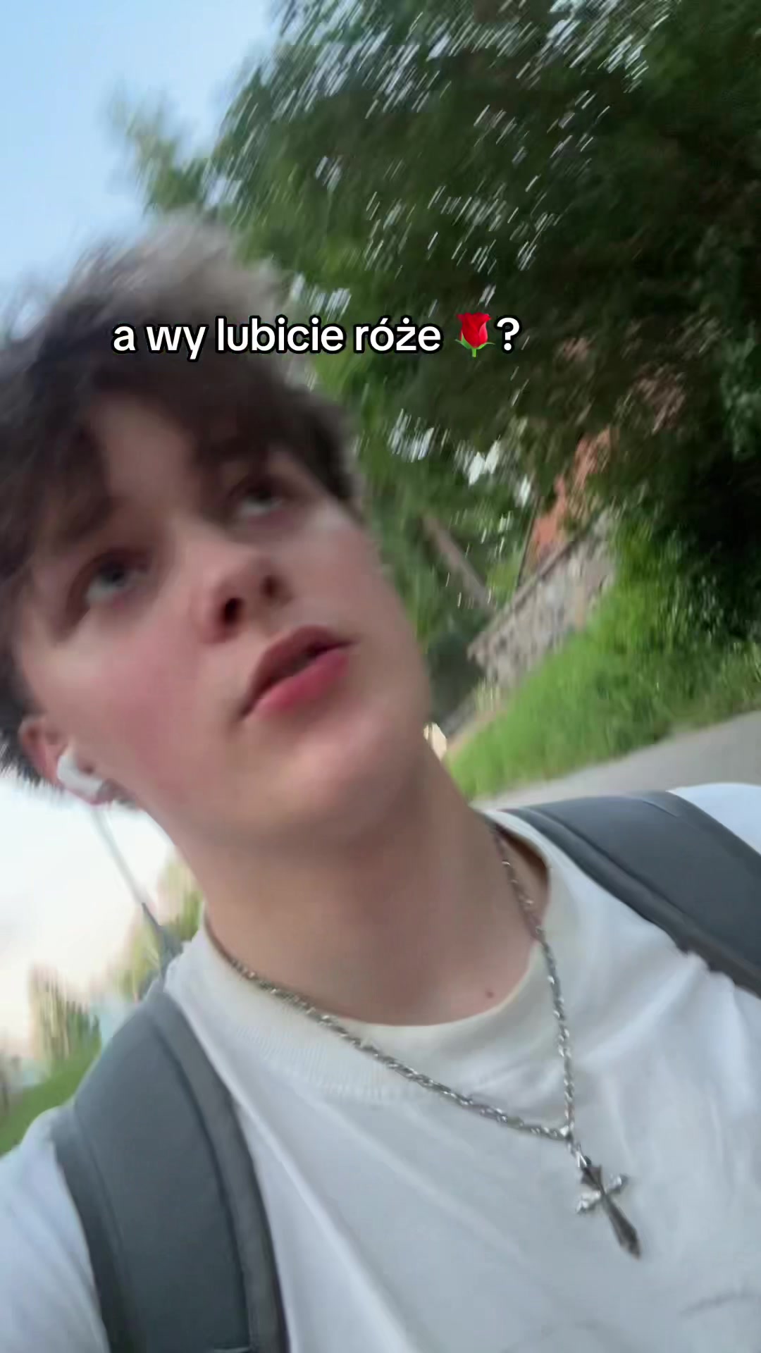 @redrosetroy