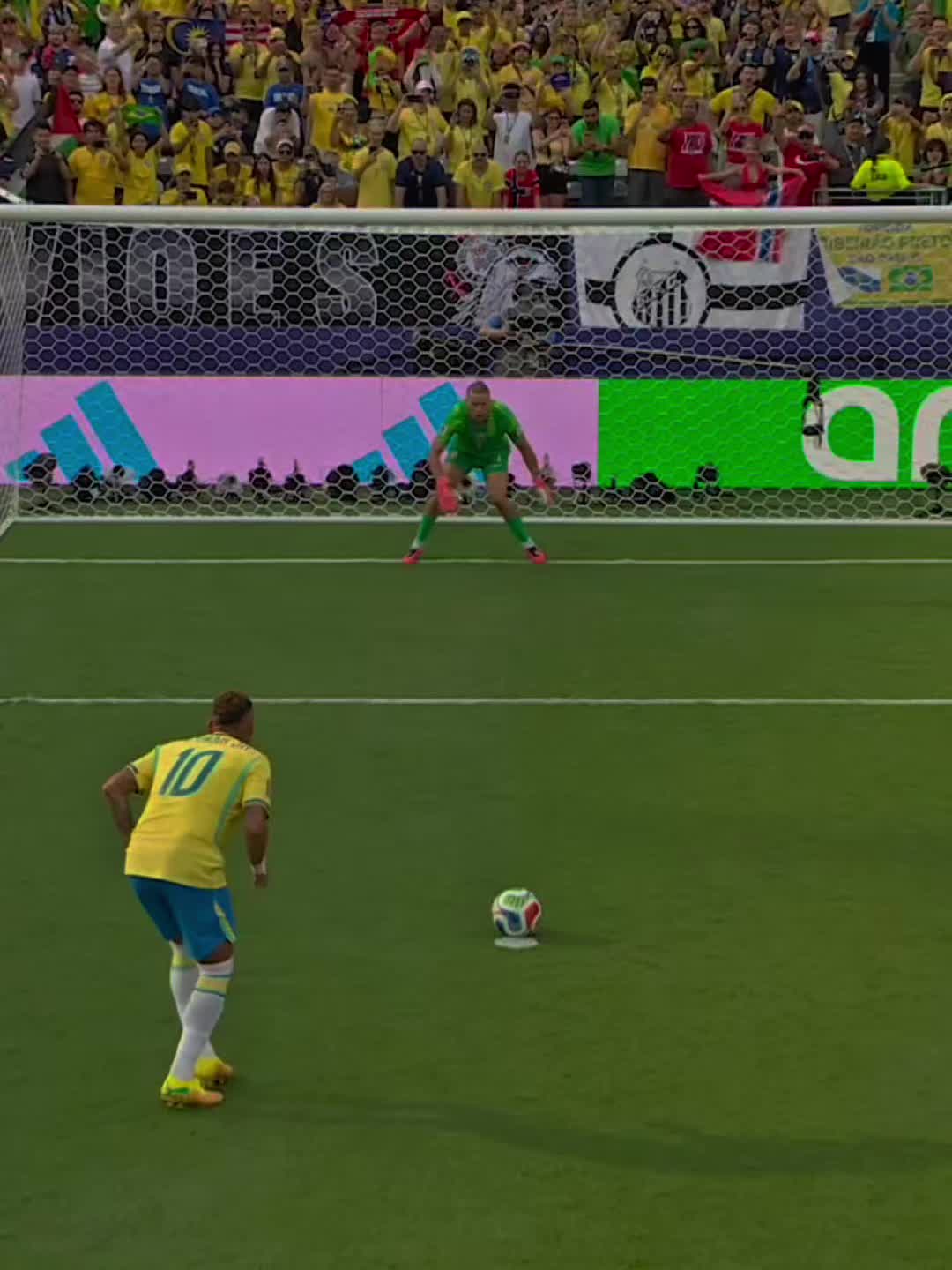 @SCARDINHO