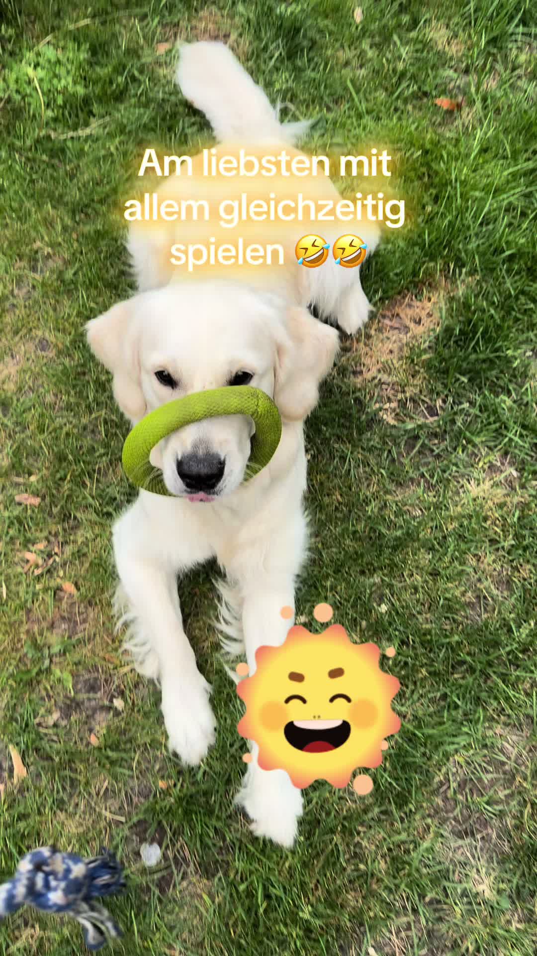 @Melli86