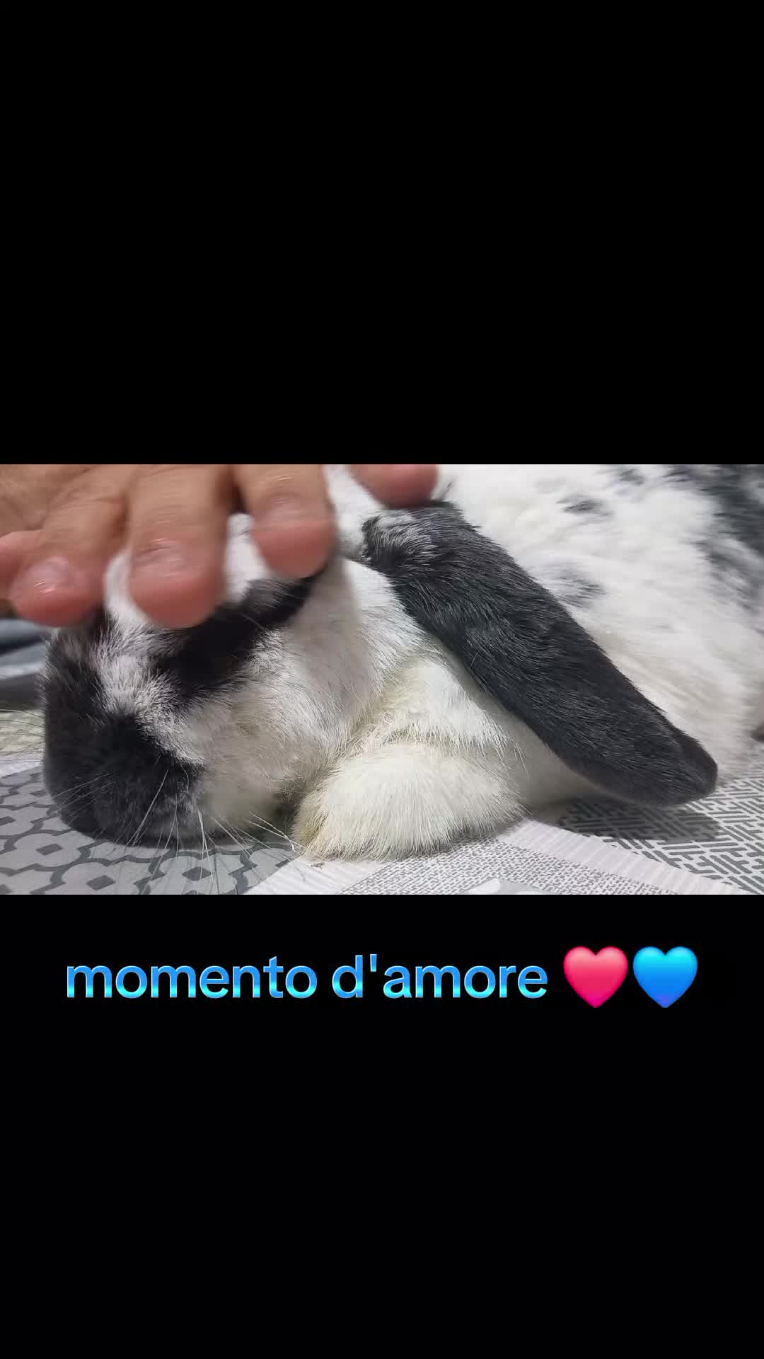 @💙Francy💙Diego💙Mario💙
