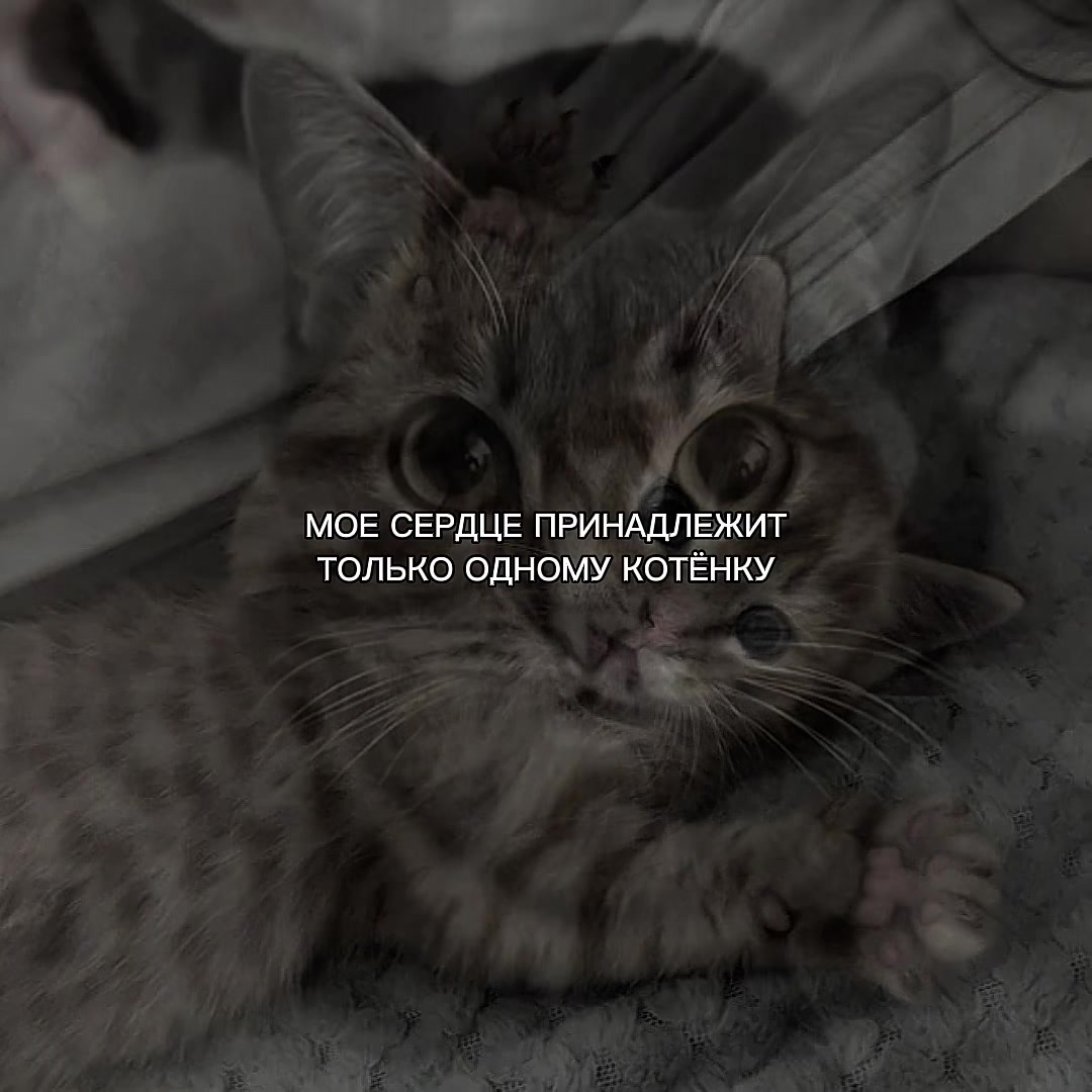 @ХХИКА