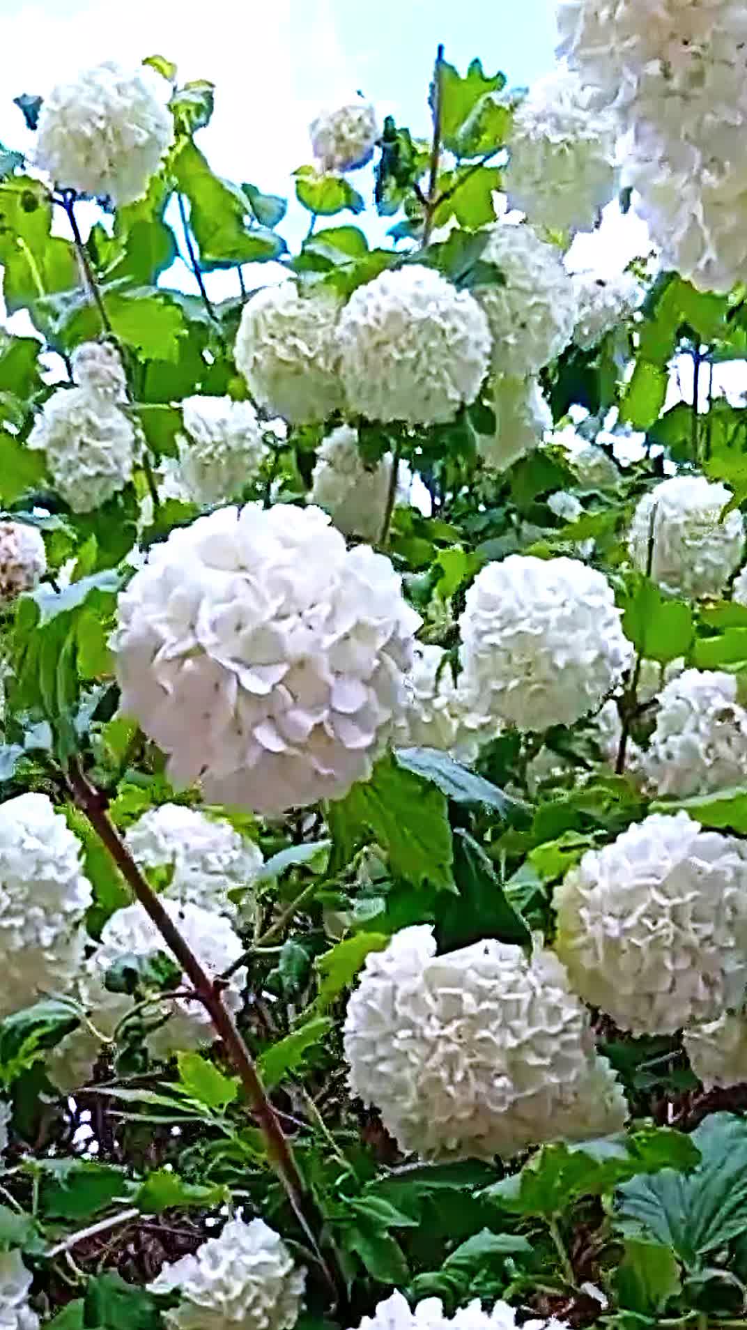 @user1675550211969
