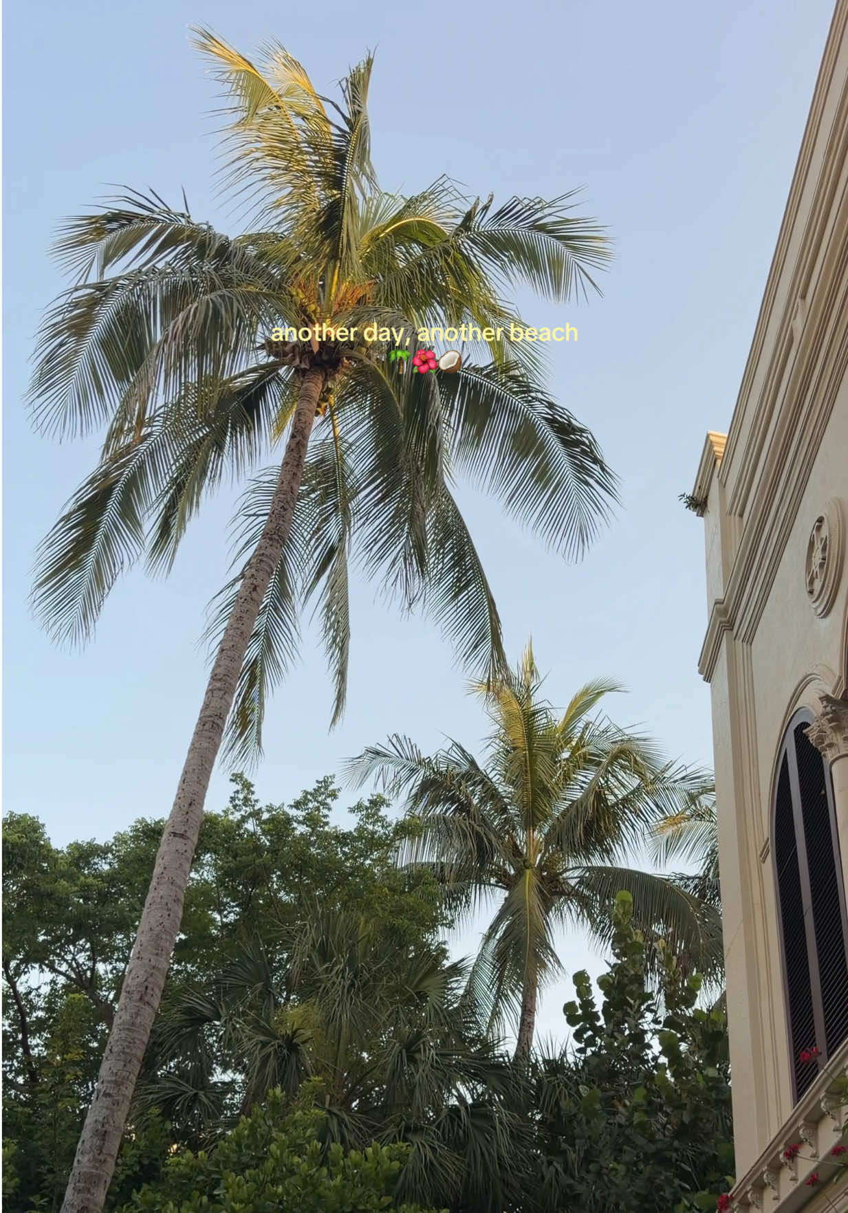 @Sabrina 🌞