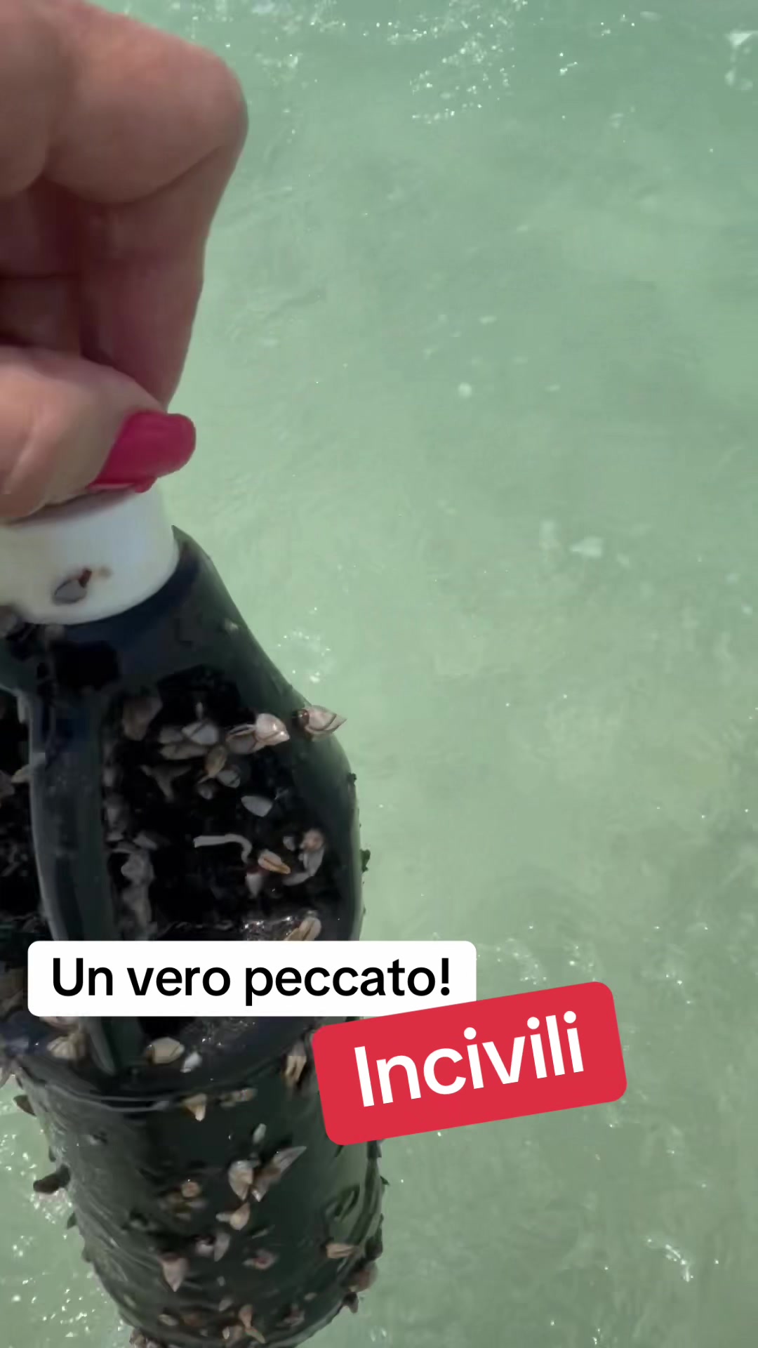 @Raffaellacremonesi