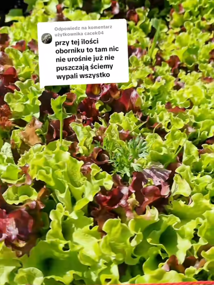 @Sylwia