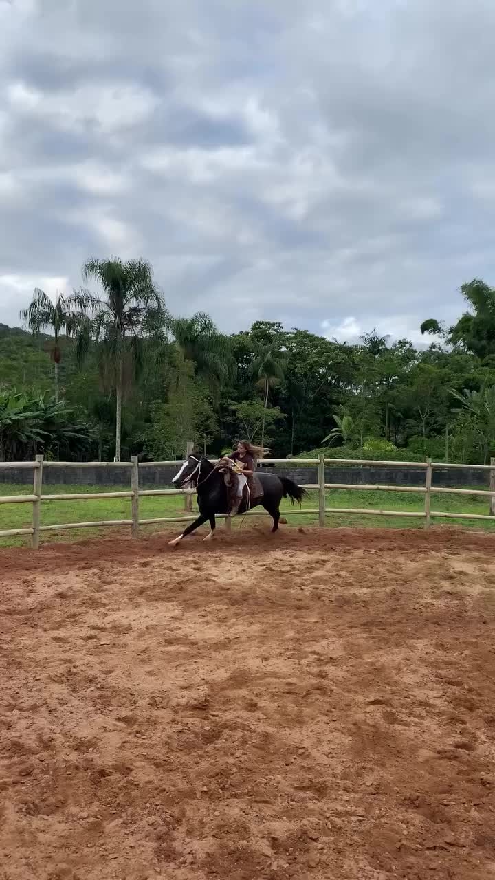 @ThunderGallops