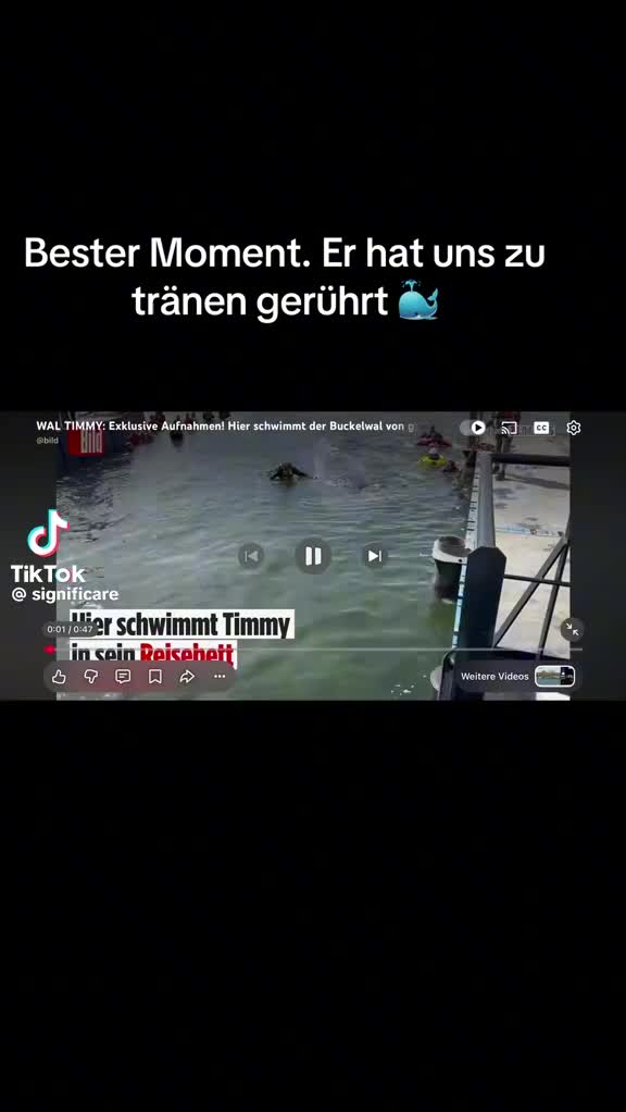 @Mister Unbekannt