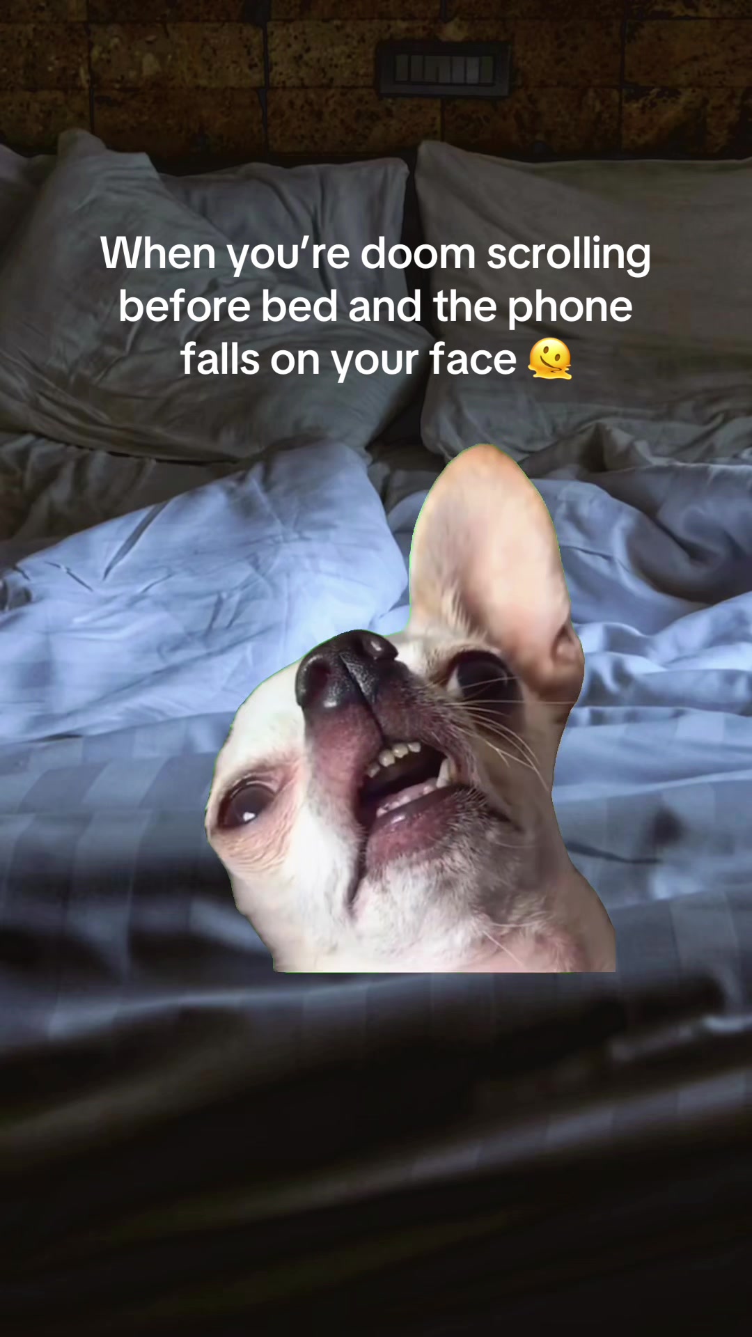 @Alyne