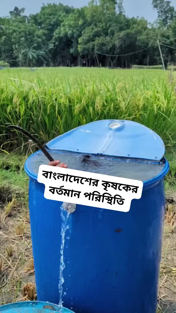 @TAFIN ISLAM