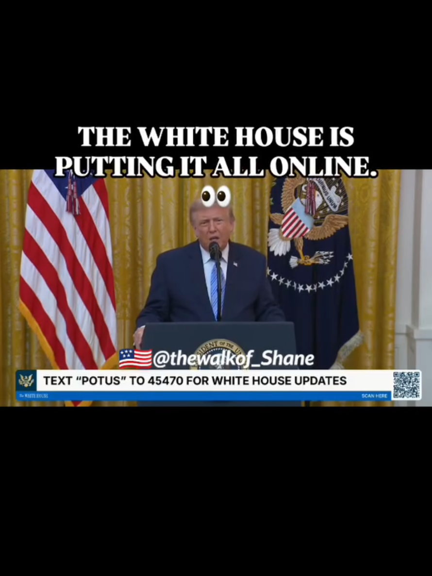 @thewalkof_Shane