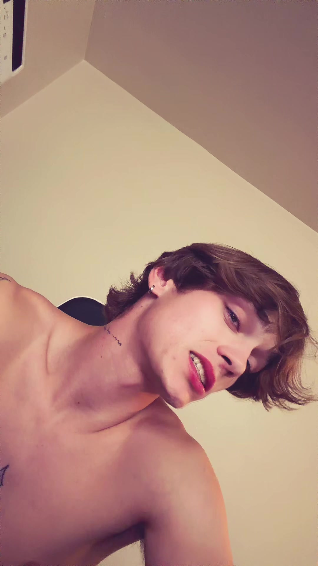 @340 Wilk
