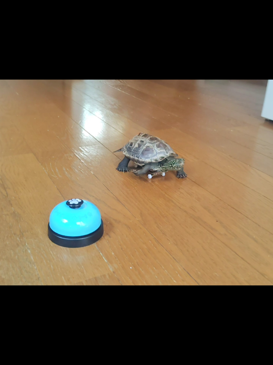 @クサガメ軍曹🐢
