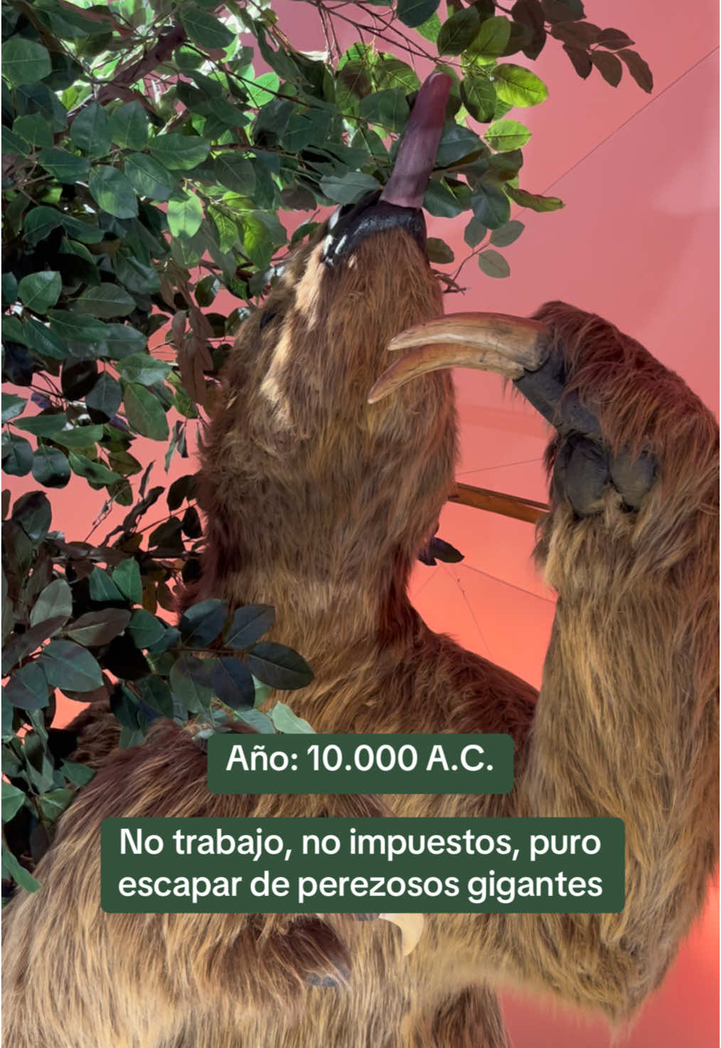 @M. Baez