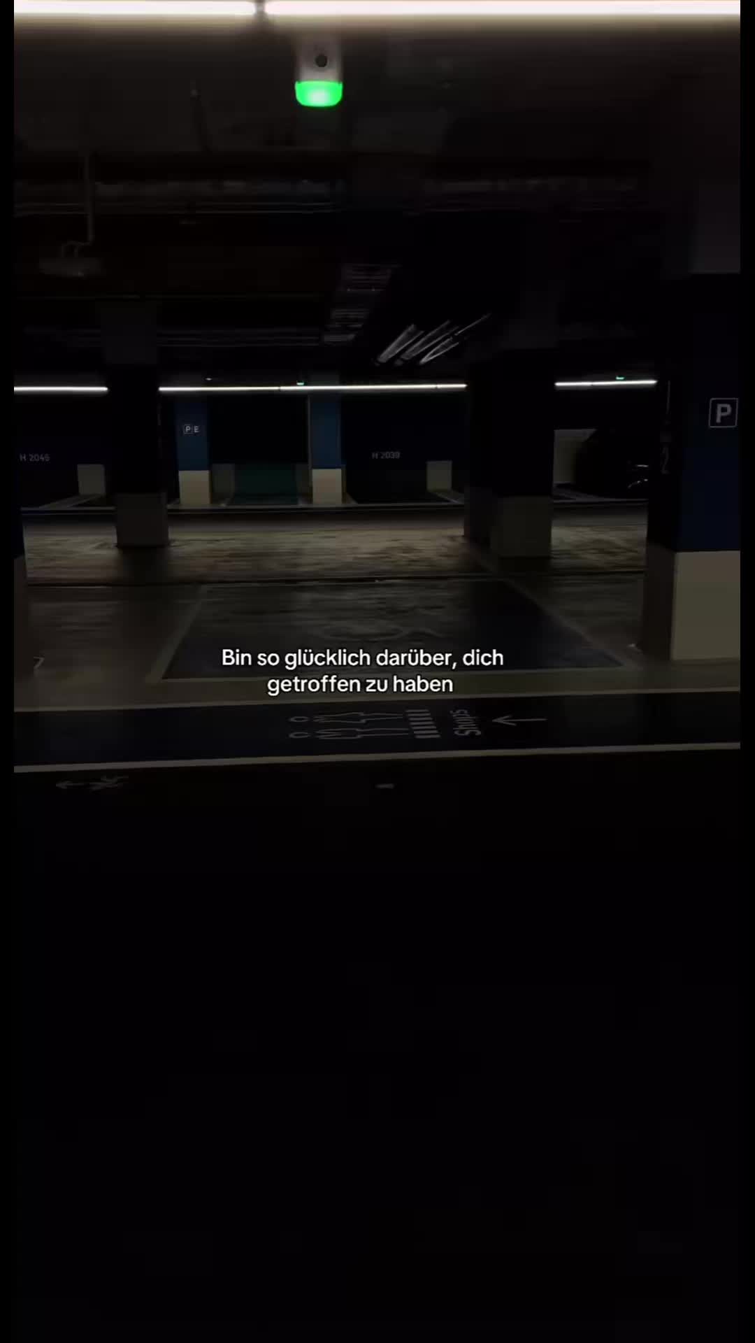 @🐬